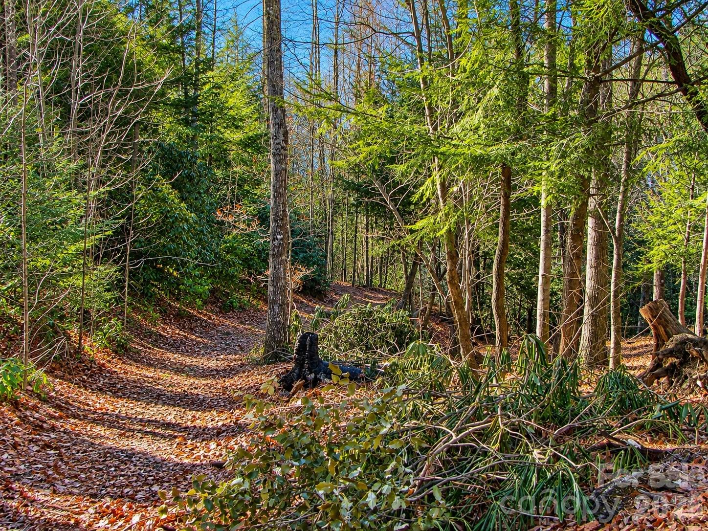 1166 Deer Crossing Lane 43 Property Photo 8