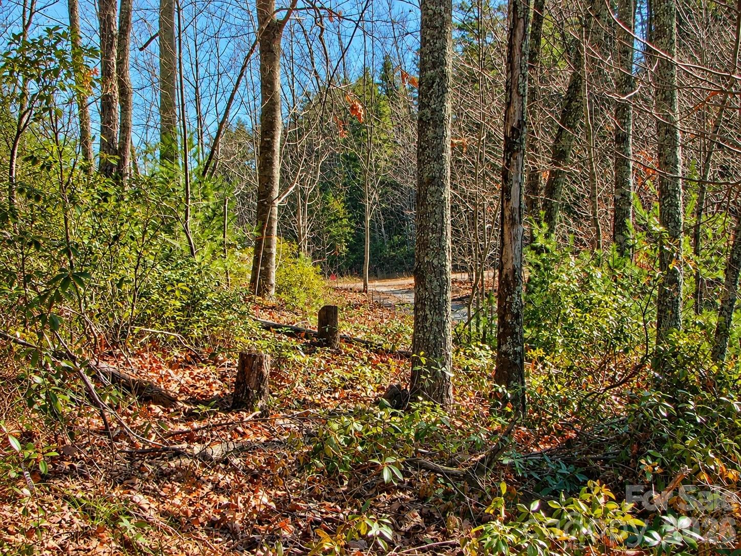 1166 Deer Crossing Lane 43 Property Photo 9