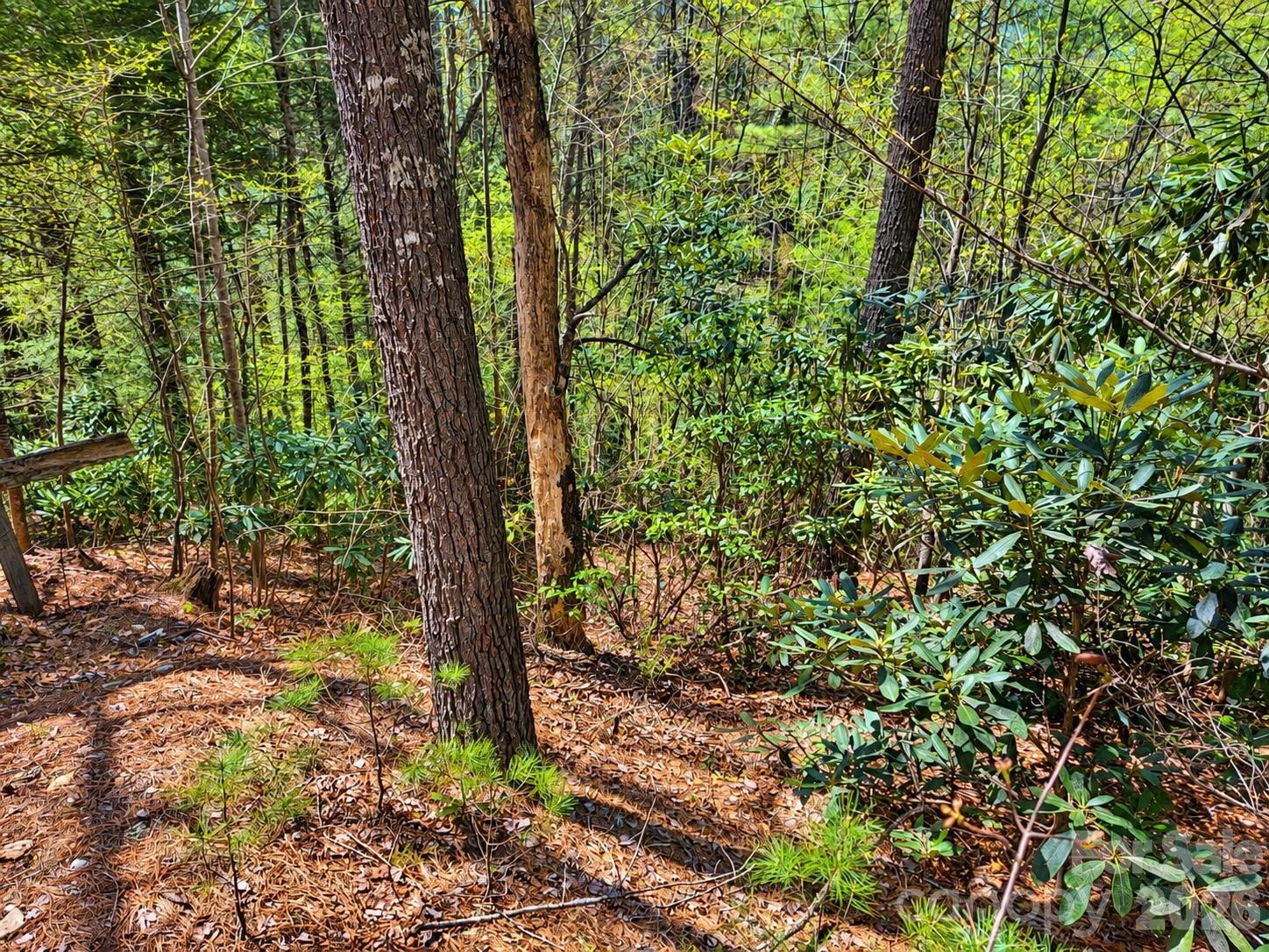 1166 Deer Crossing Lane 43 Property Photo 10