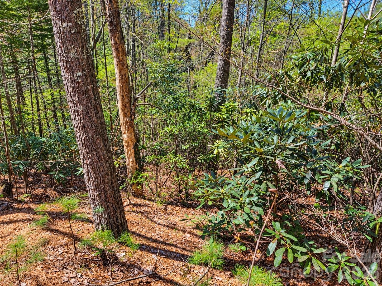 1166 Deer Crossing Lane 43 Property Photo 11