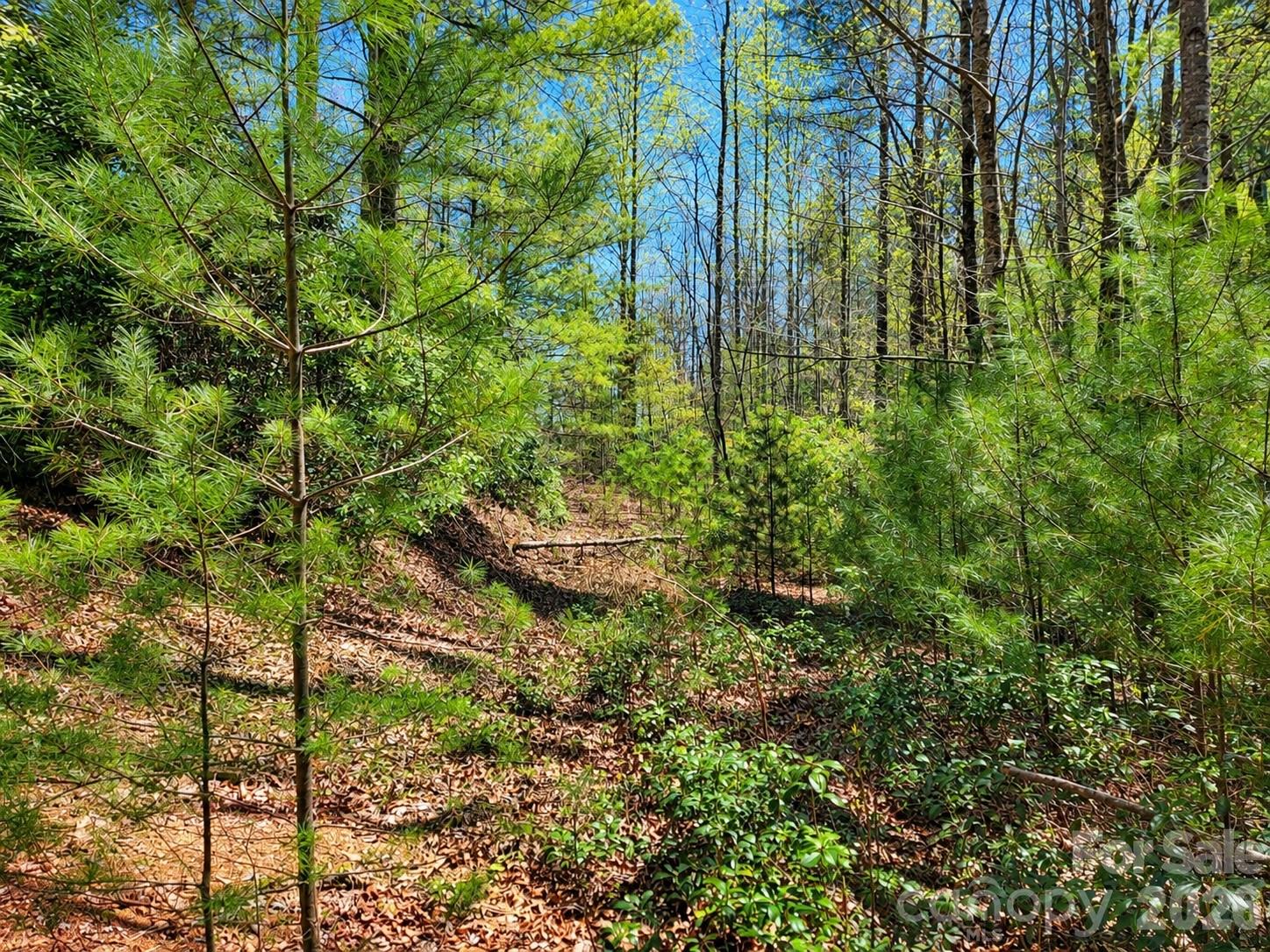 1166 Deer Crossing Lane 43 Property Photo 12