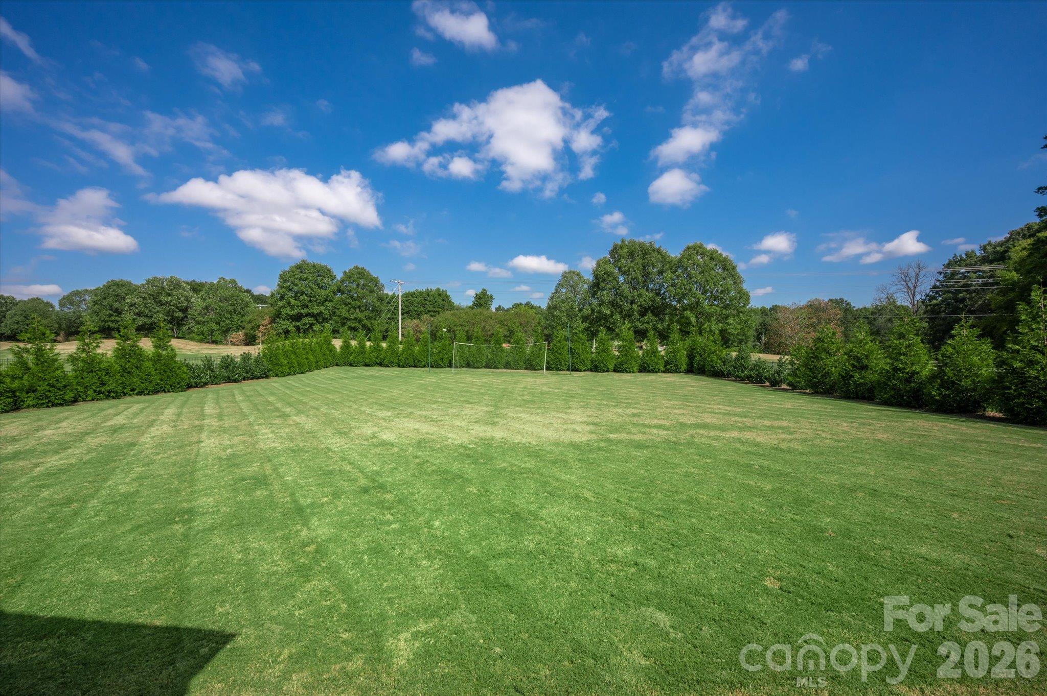 2418 Creek Manor Drive Property Photo 25