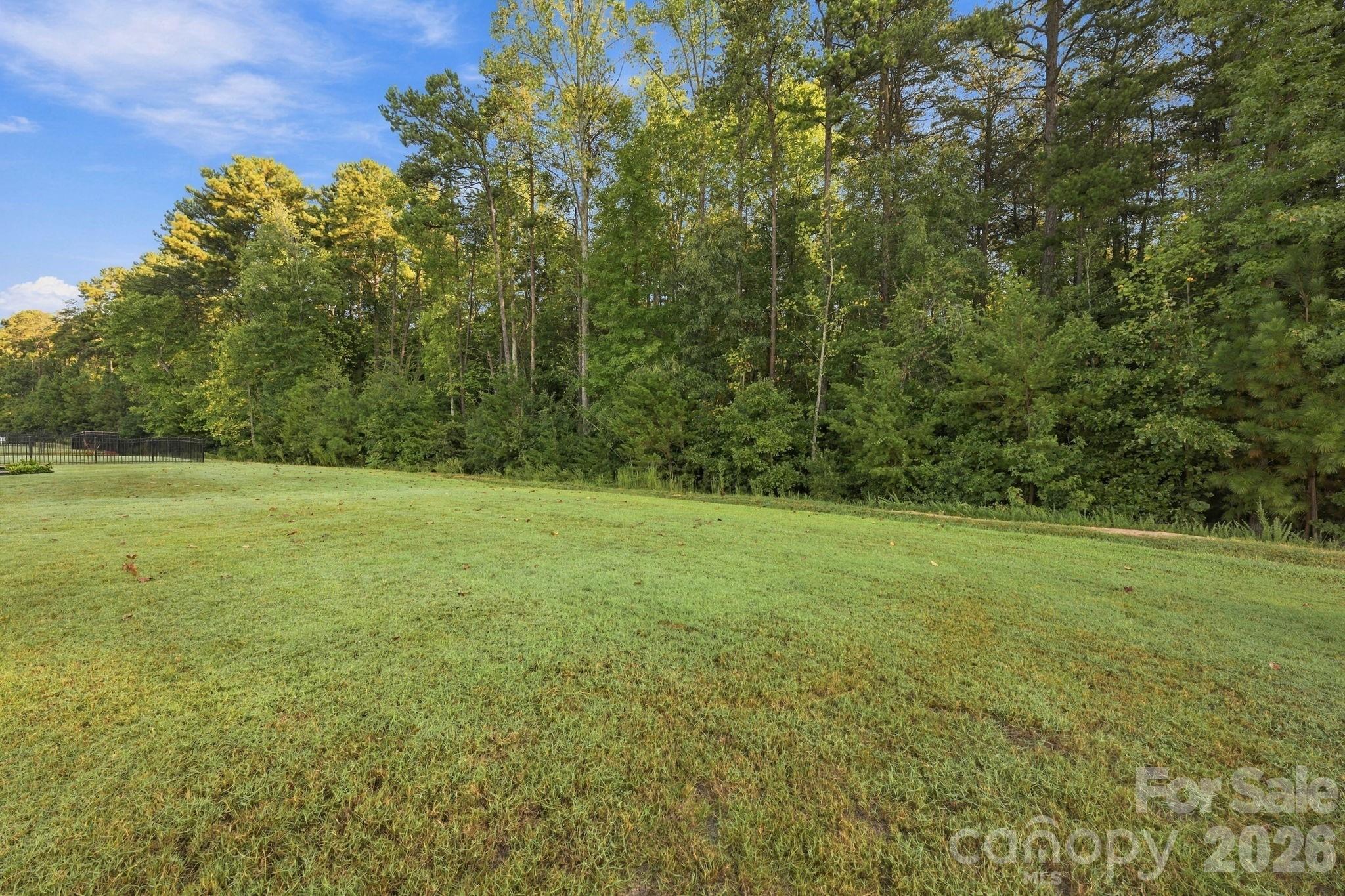 8204 Mccormick Street Property Photo 29