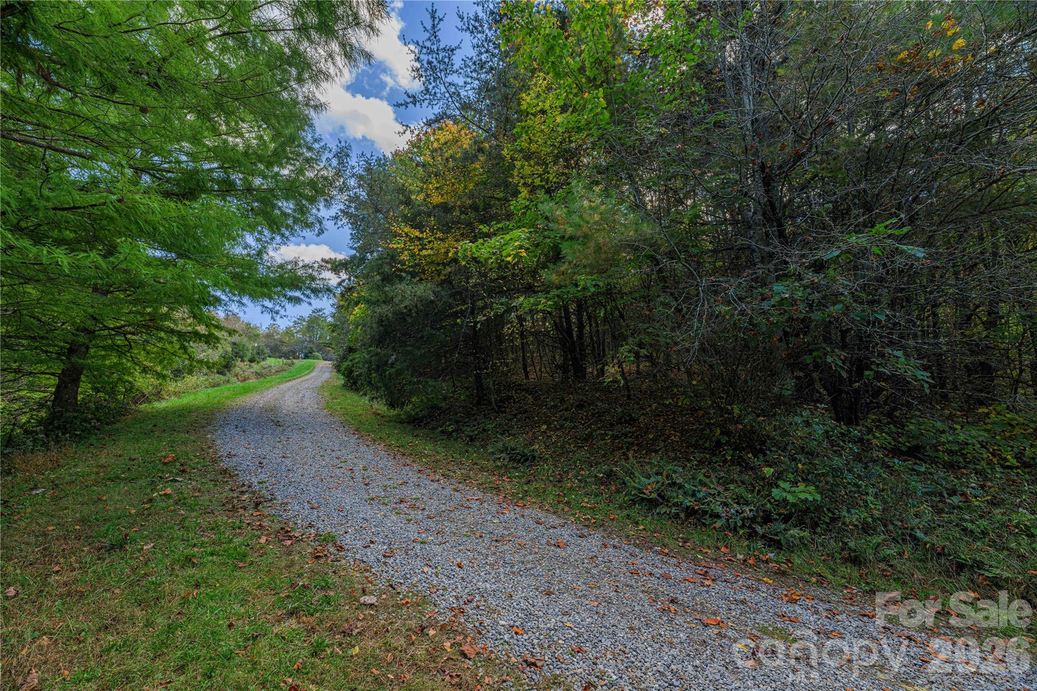 Tbd Windaleir Lane Property Photo 15