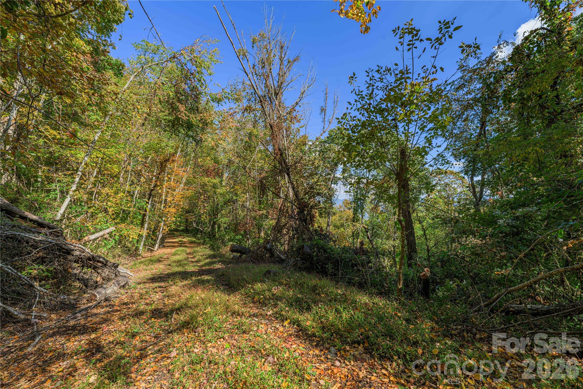 Tbd Windaleir Lane Property Photo 21