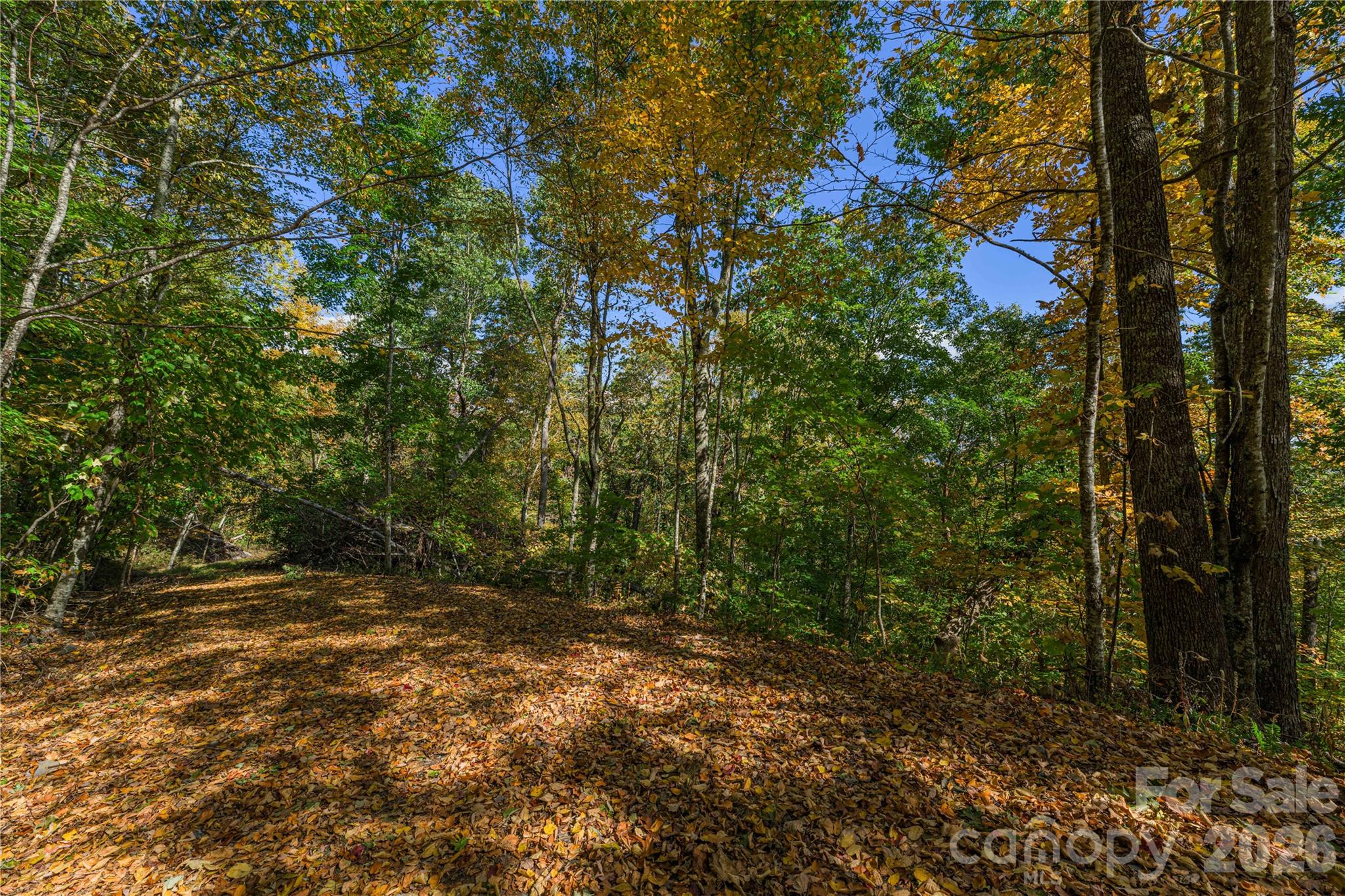 Tbd Windaleir Lane Property Photo 22