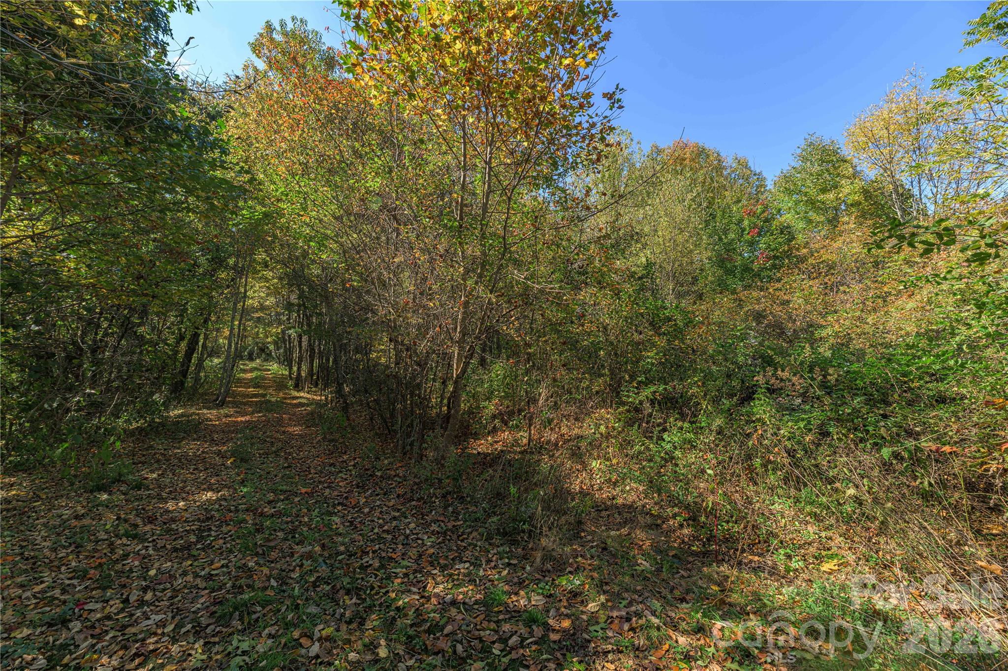 Tbd Windaleir Lane Property Photo 25