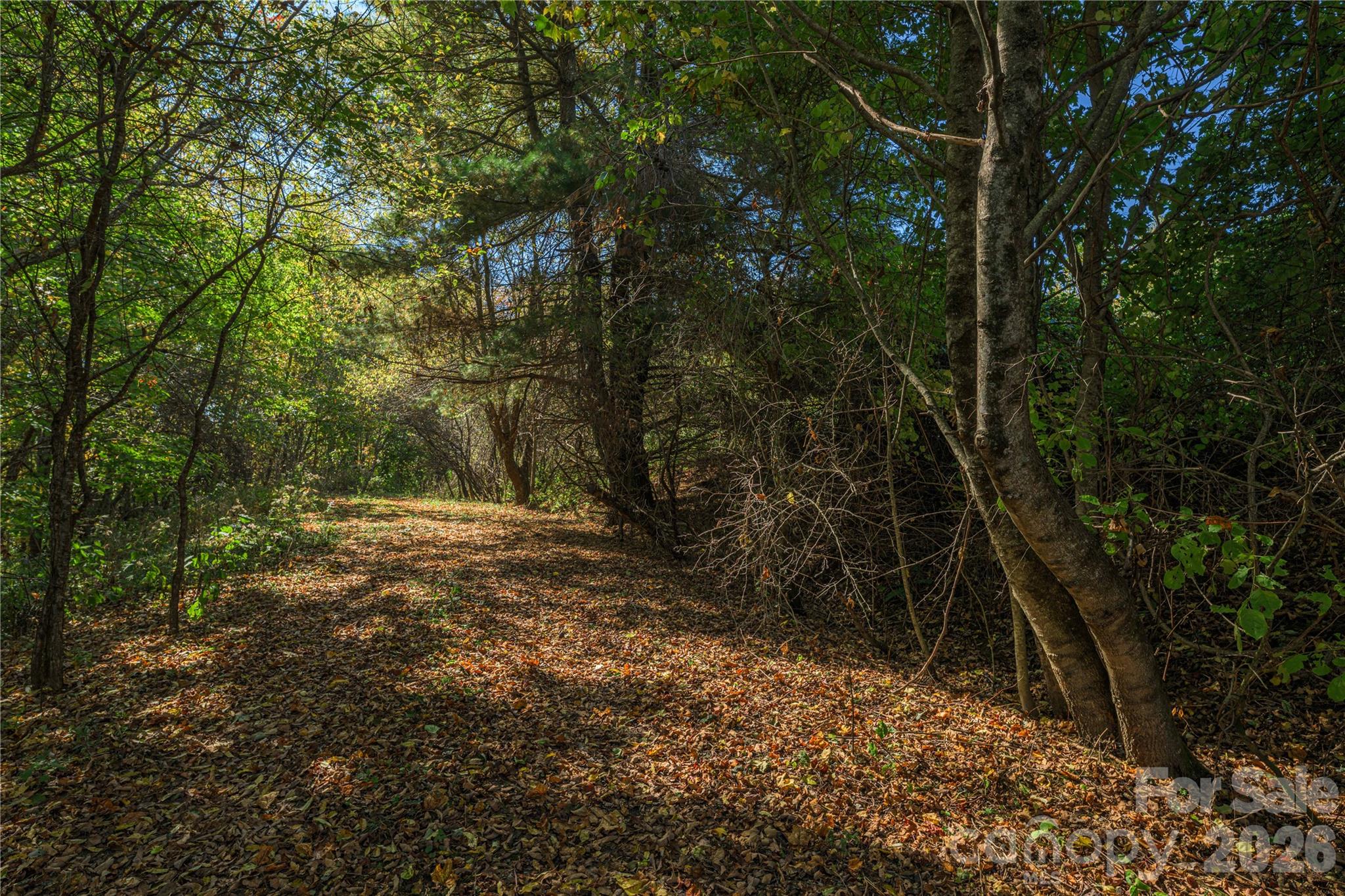 Tbd Windaleir Lane Property Photo 26