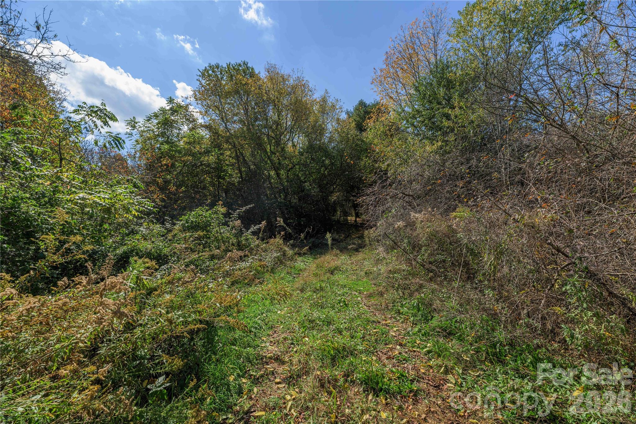 Tbd Windaleir Lane Property Photo 27