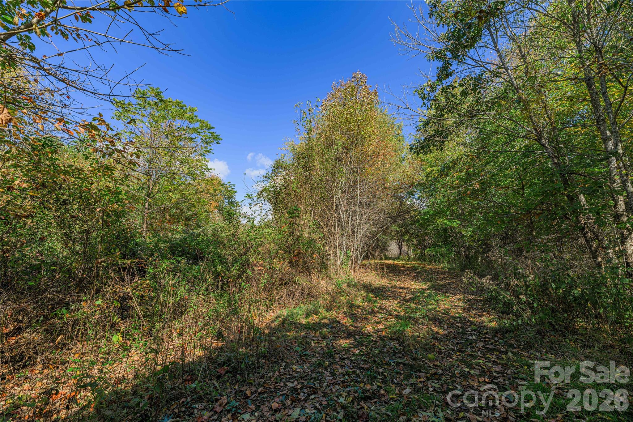 Tbd Windaleir Lane Property Photo 31