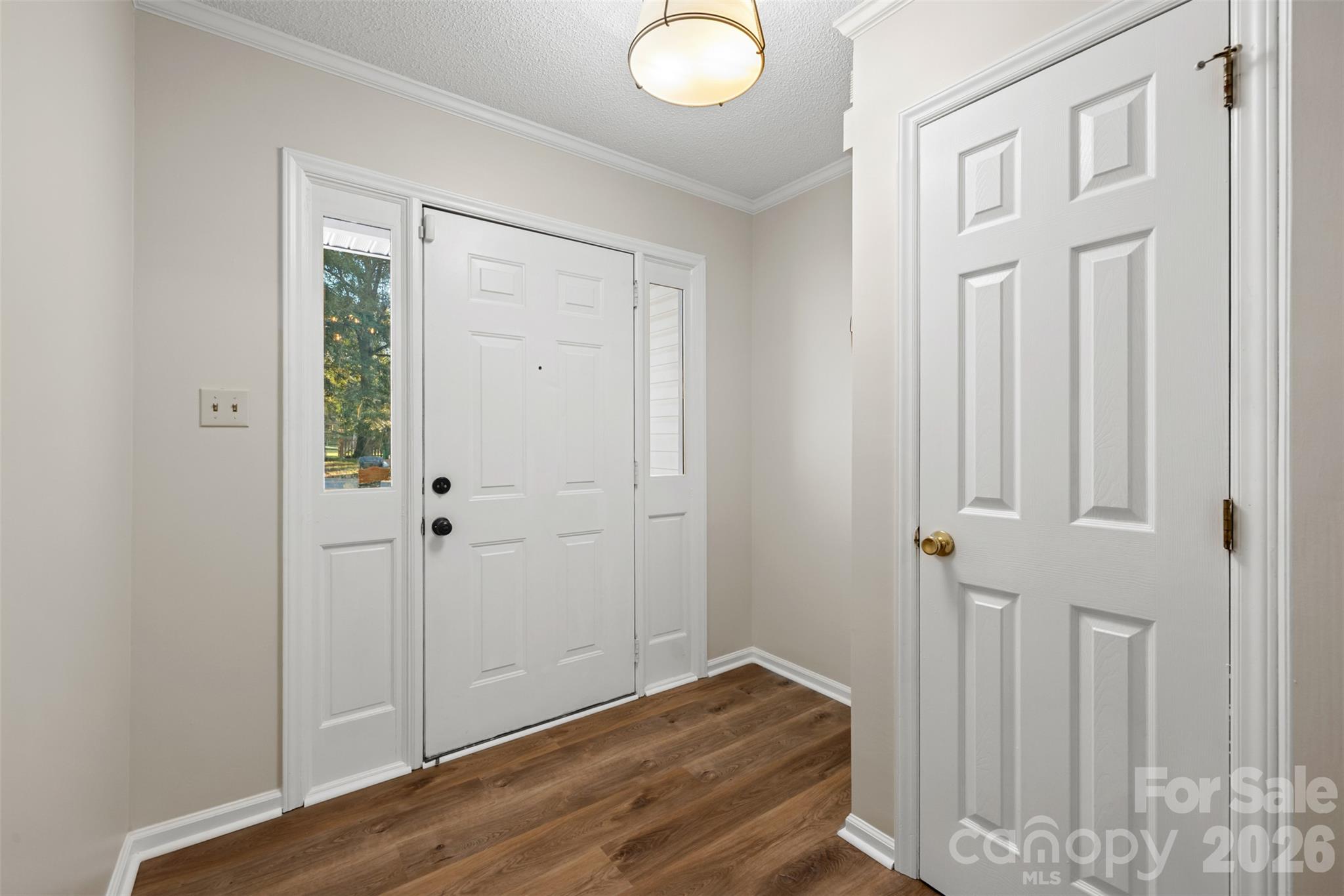 1312 Newfound Hollow Drive Property Photo 4