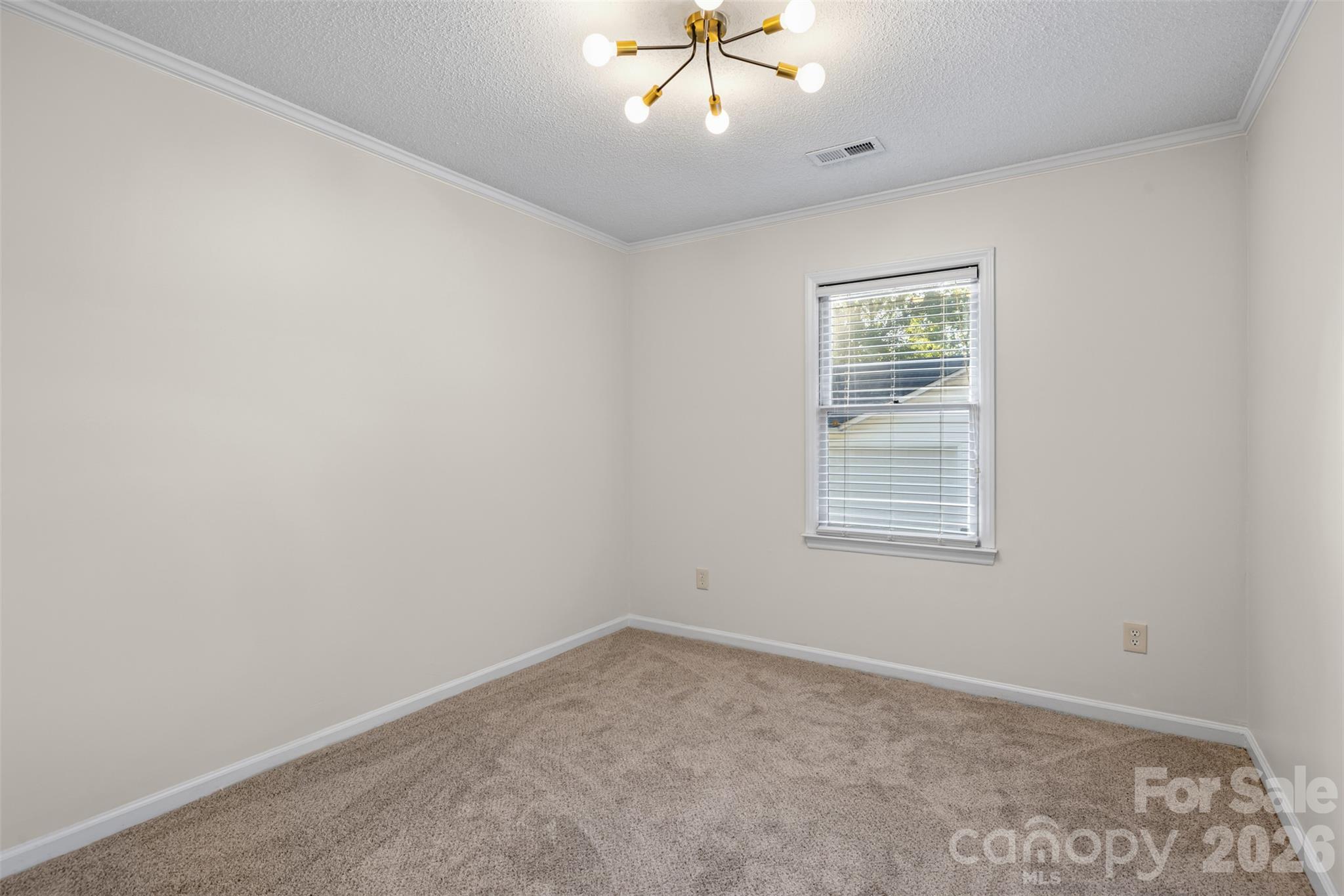 1312 Newfound Hollow Drive Property Photo 22