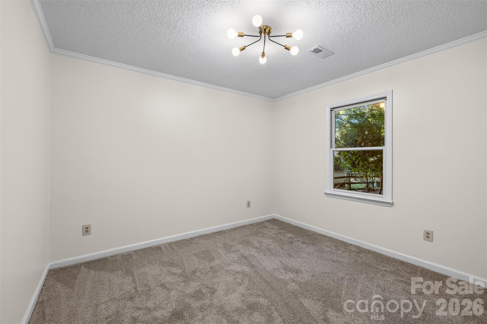 1312 Newfound Hollow Drive Property Photo 25