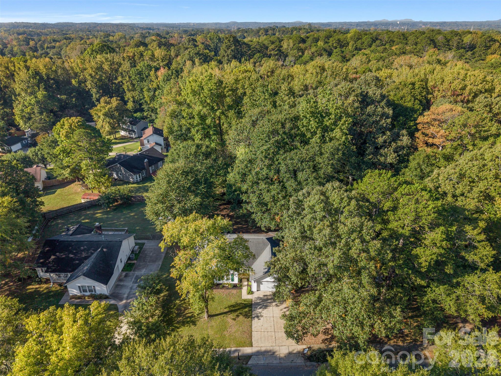 1312 Newfound Hollow Drive Property Photo 33