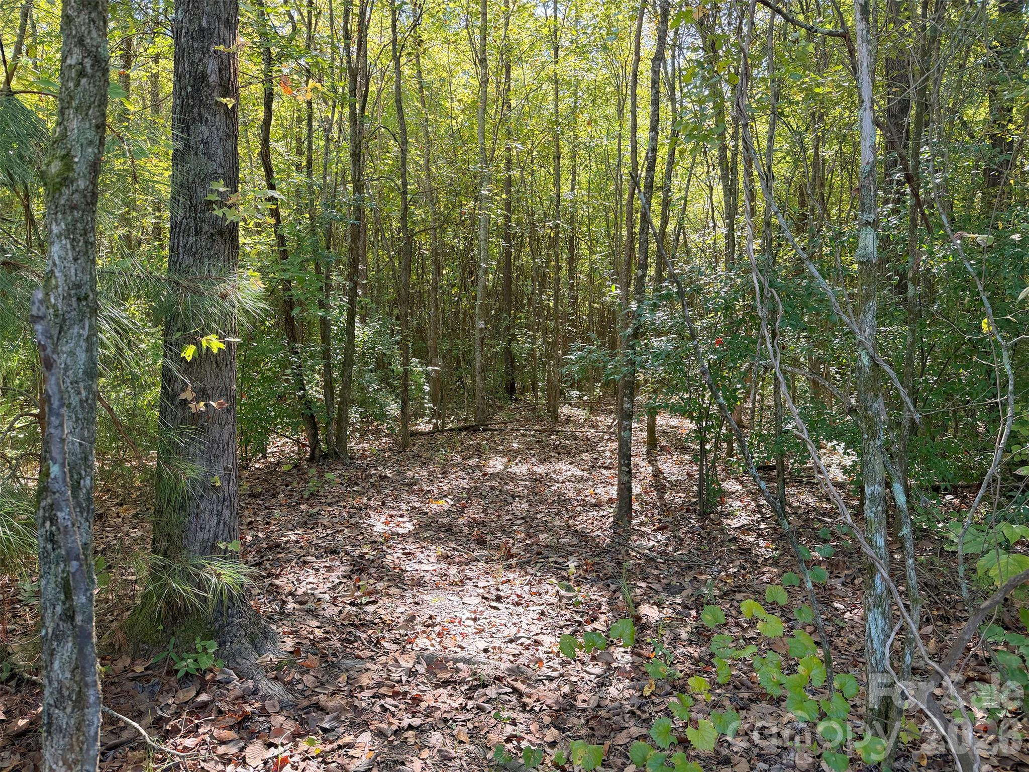 1750 Troon Drive Property Photo 46