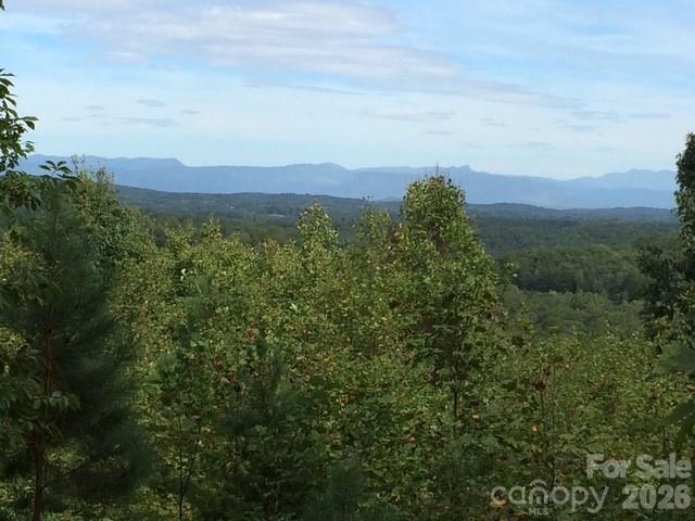 113 Meditation Ridge Drive Property Photo 1