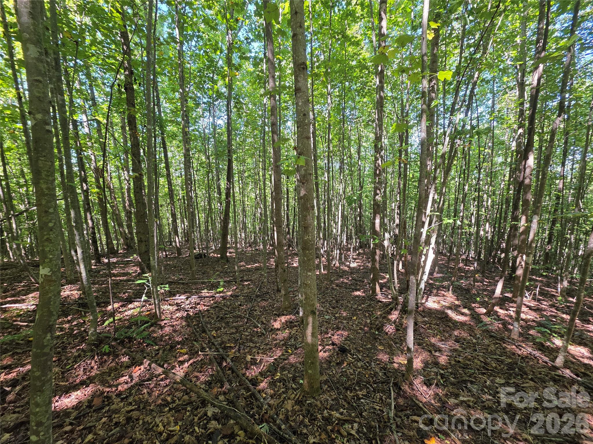 113 Meditation Ridge Drive Property Photo 2