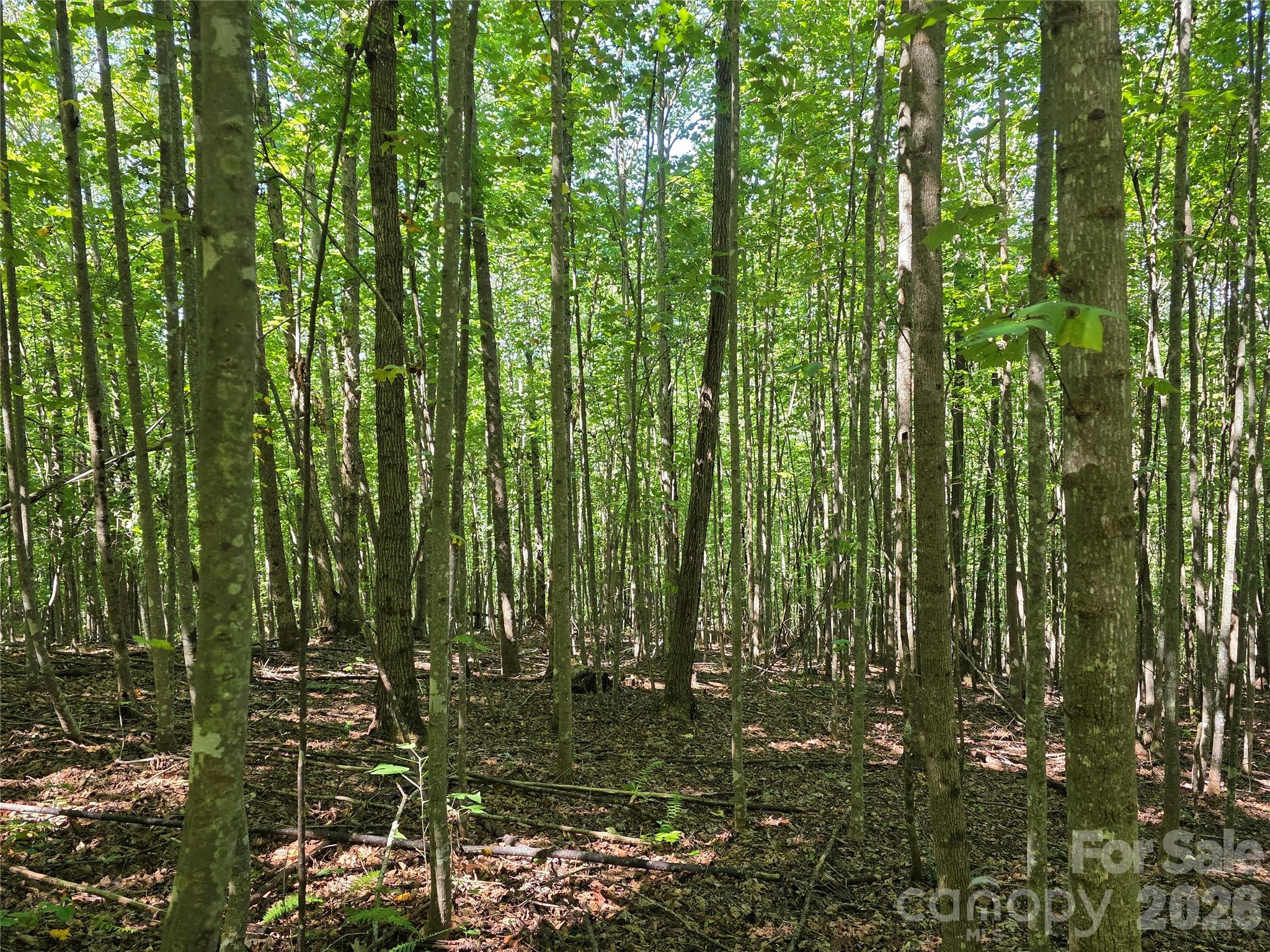 113 Meditation Ridge Drive Property Photo 6