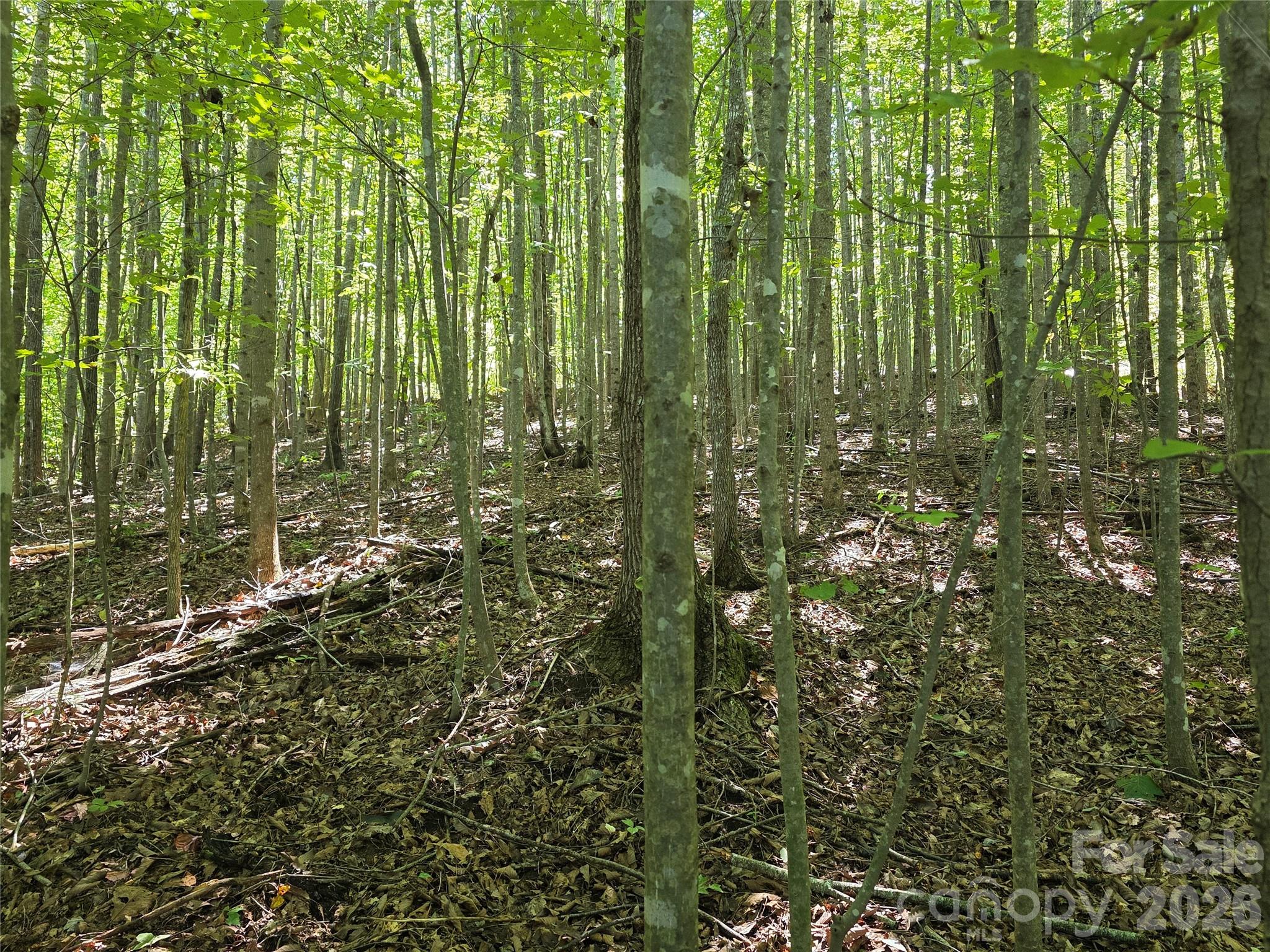 113 Meditation Ridge Drive Property Photo 8