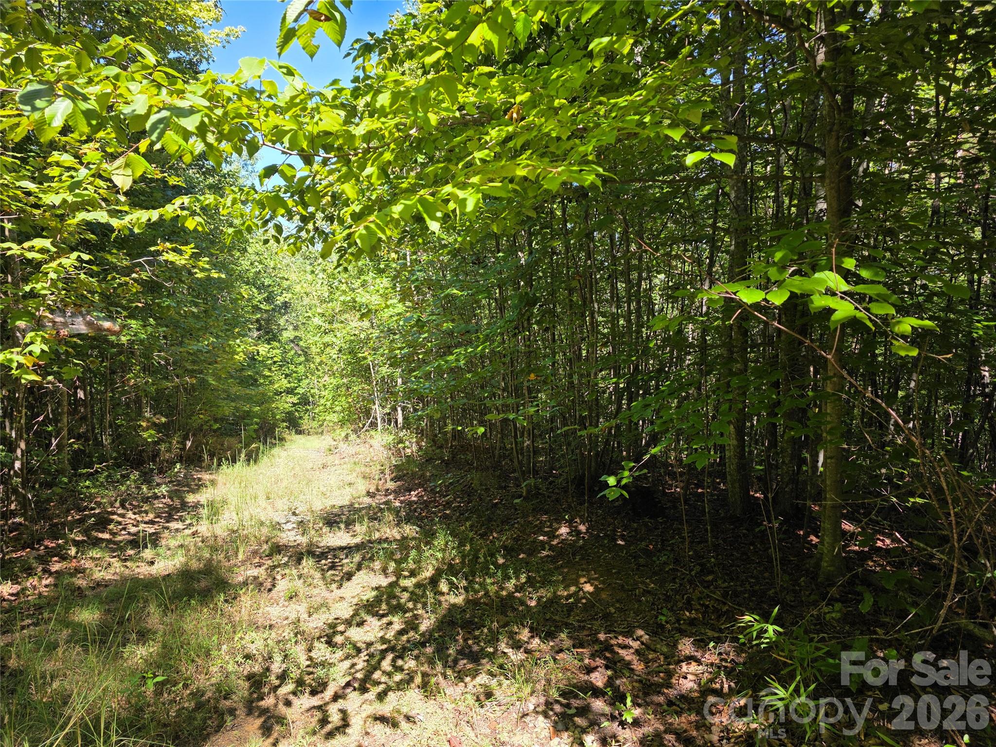 113 Meditation Ridge Drive Property Photo 9