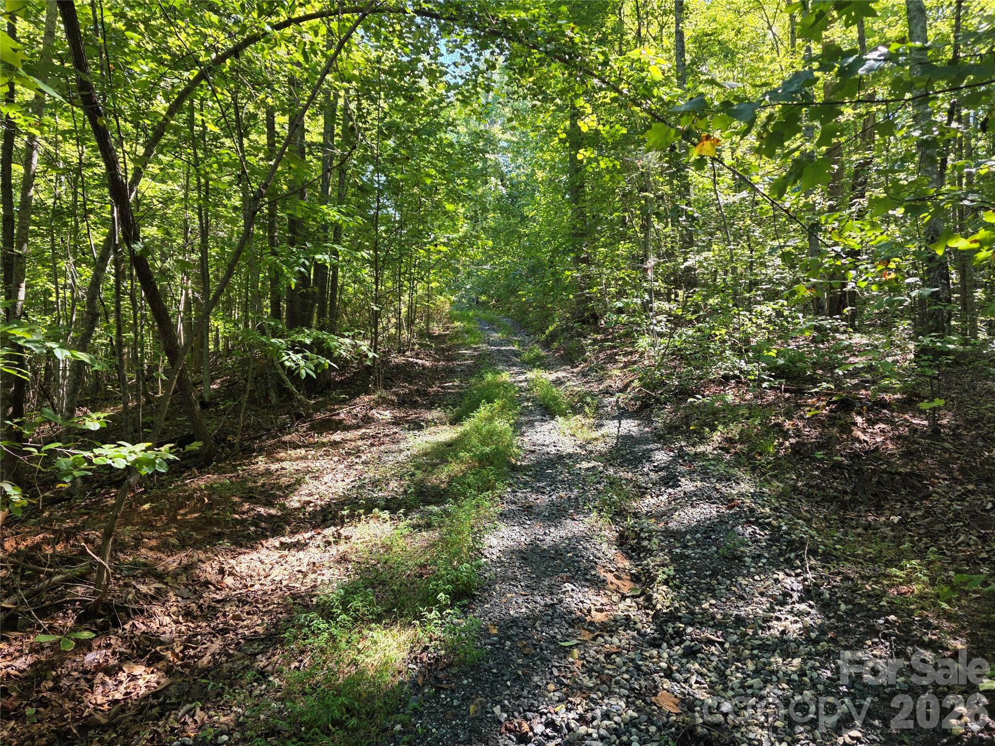 113 Meditation Ridge Drive Property Photo 11