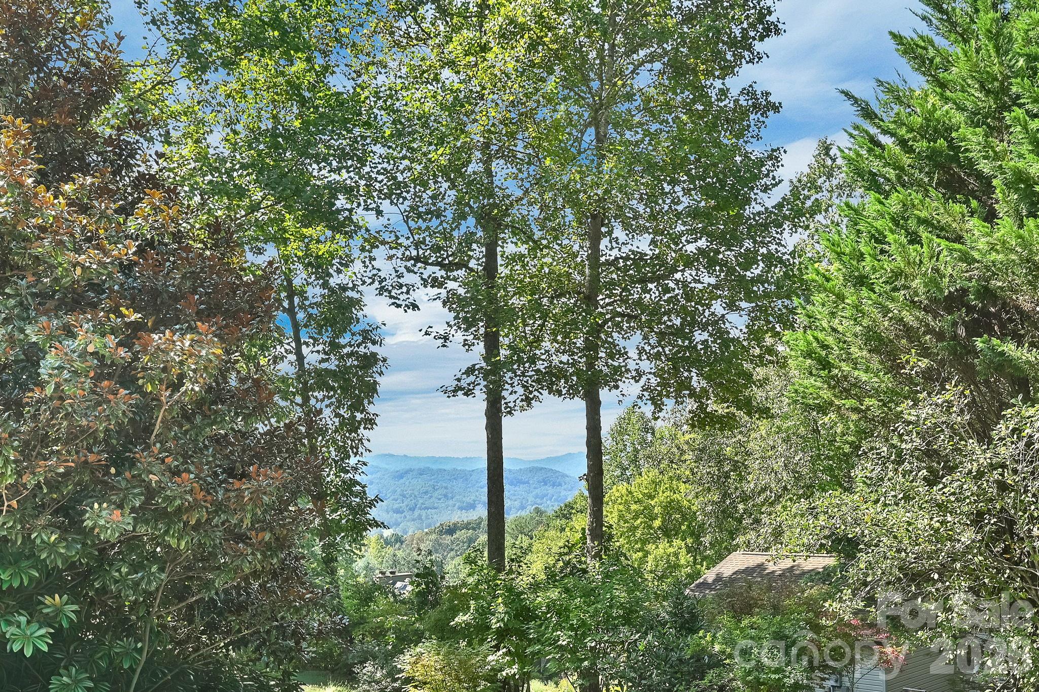 4311 Cove Loop Road Property Photo 4