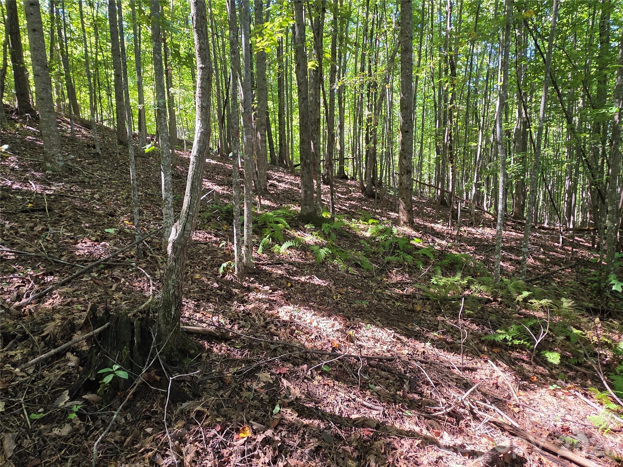 19 Meditation Ridge Drive Property Photo 2