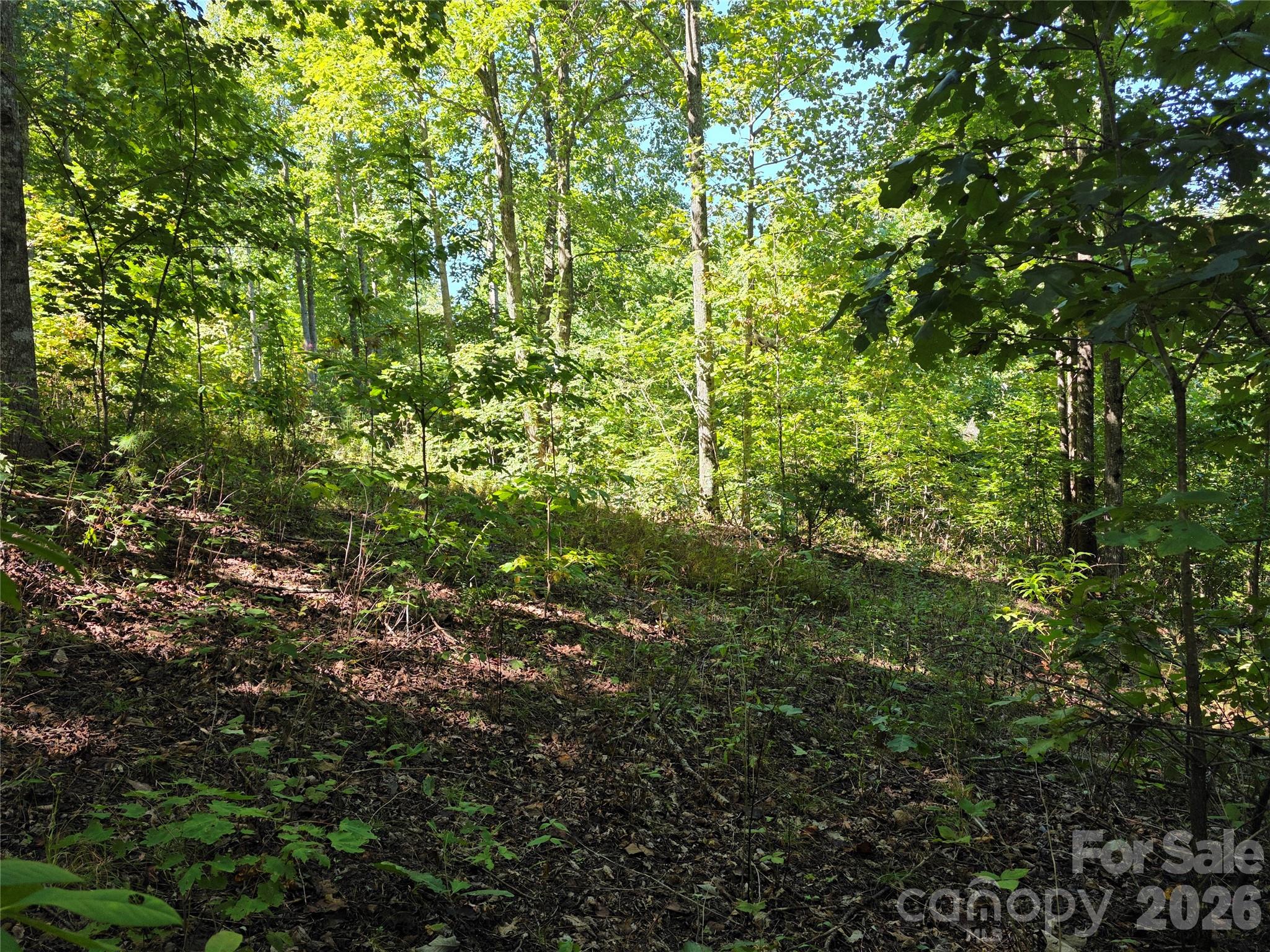 19 Meditation Ridge Drive Property Photo 6