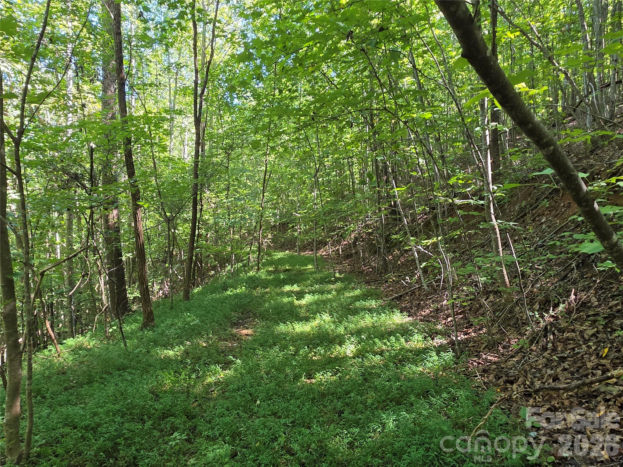 19 Meditation Ridge Drive Property Photo 7