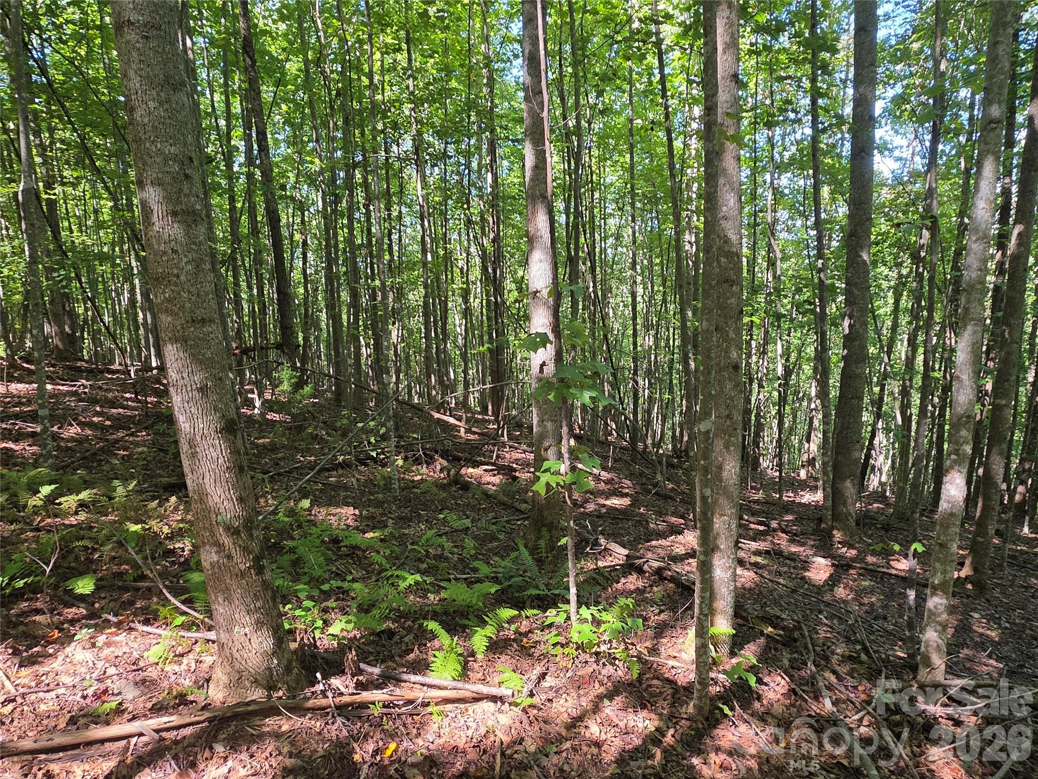 19 Meditation Ridge Drive Property Photo 10