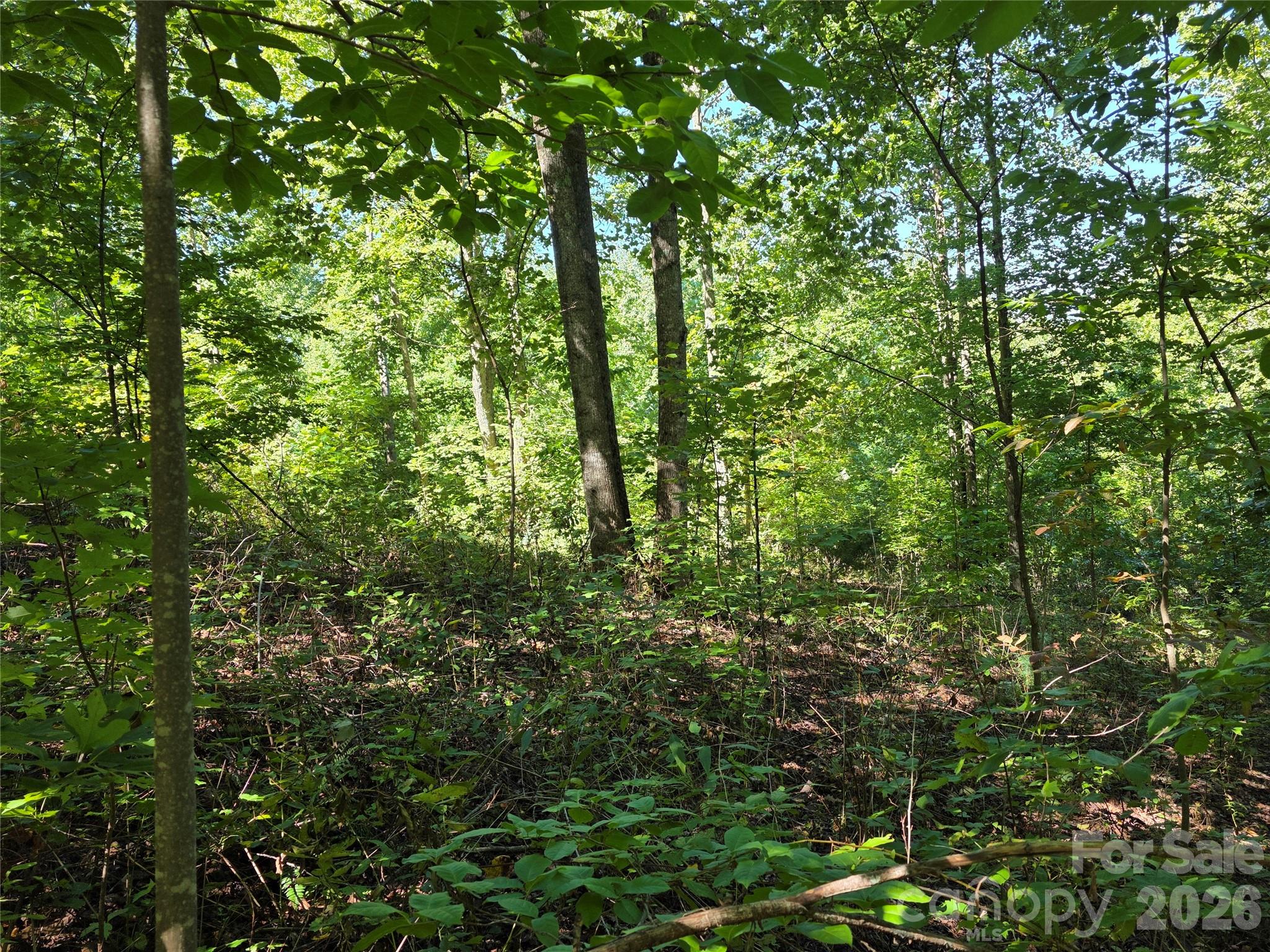 19 Meditation Ridge Drive Property Photo 12