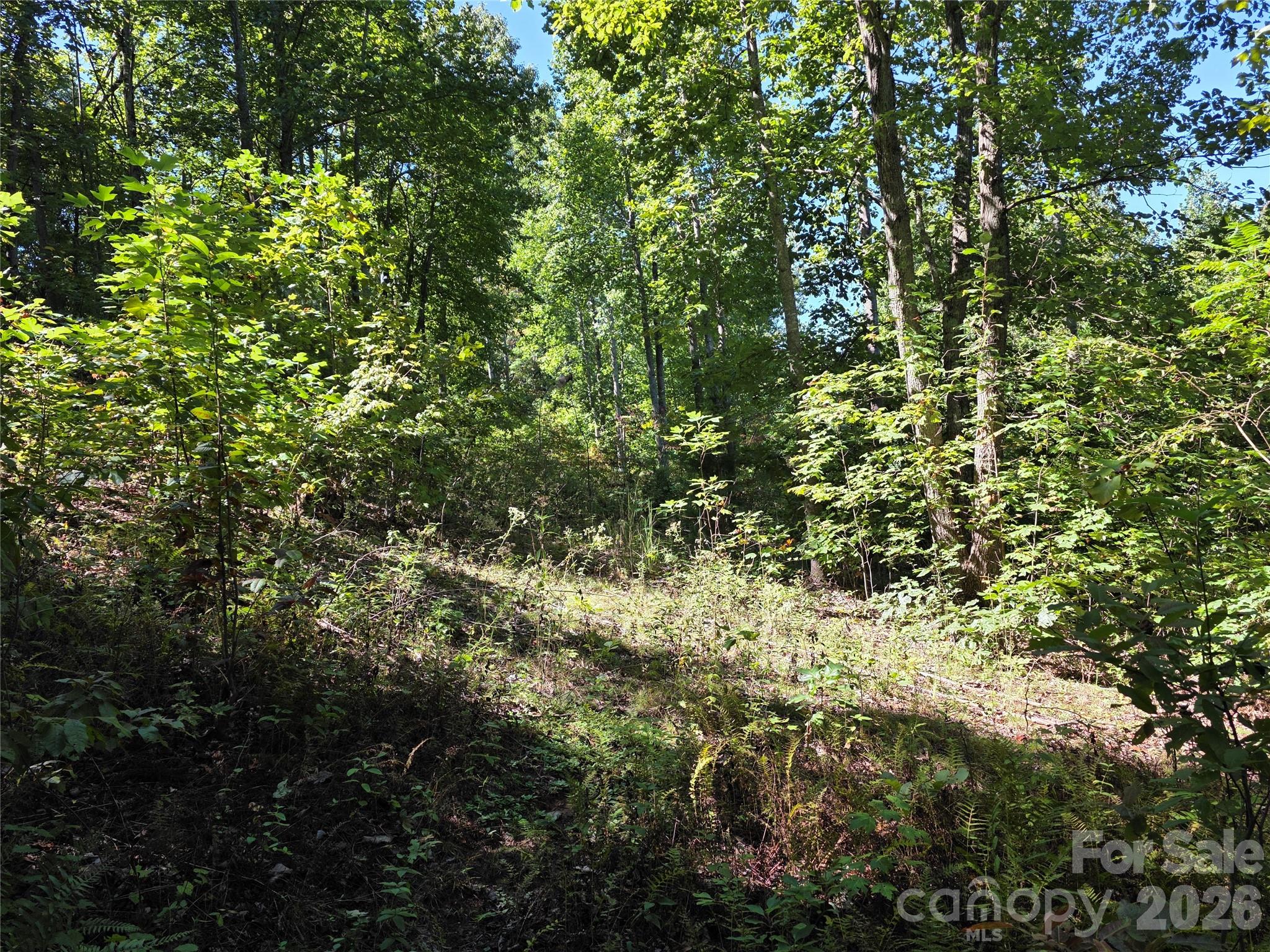 19 Meditation Ridge Drive Property Photo 13