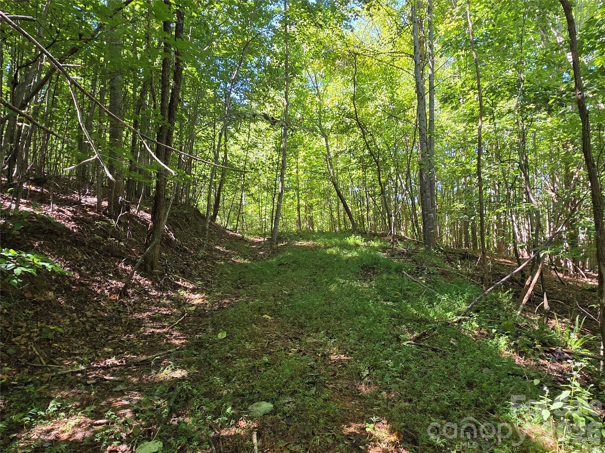 19 Meditation Ridge Drive Property Photo 14