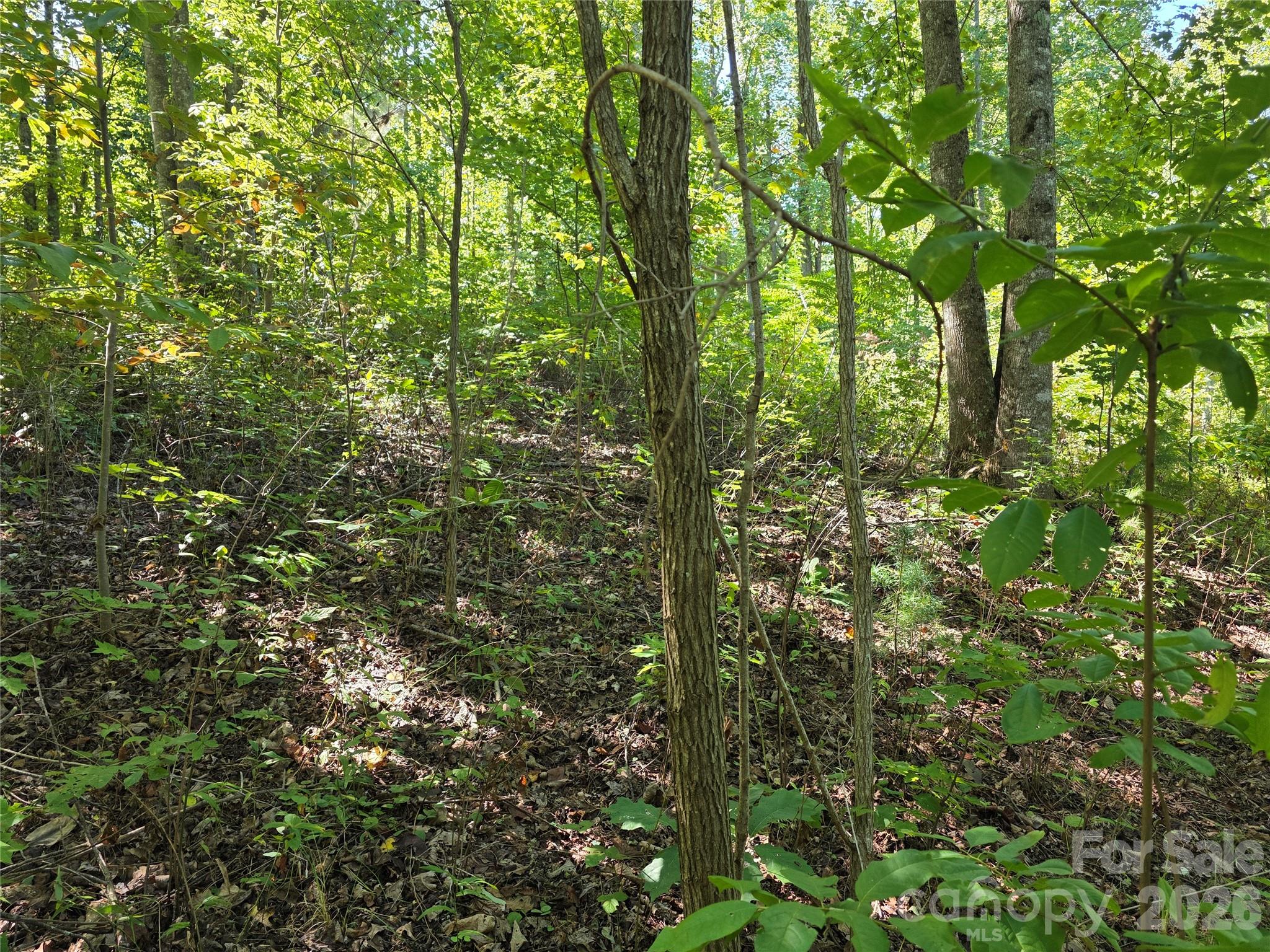 19 Meditation Ridge Drive Property Photo 15