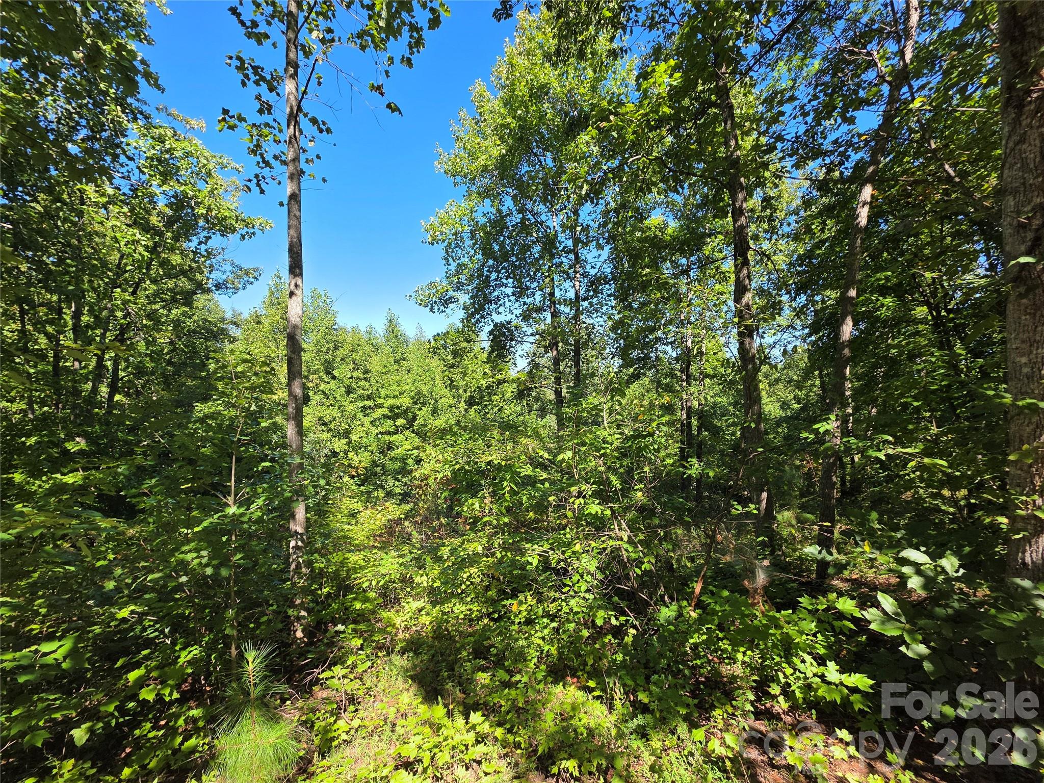 19 Meditation Ridge Drive Property Photo 17