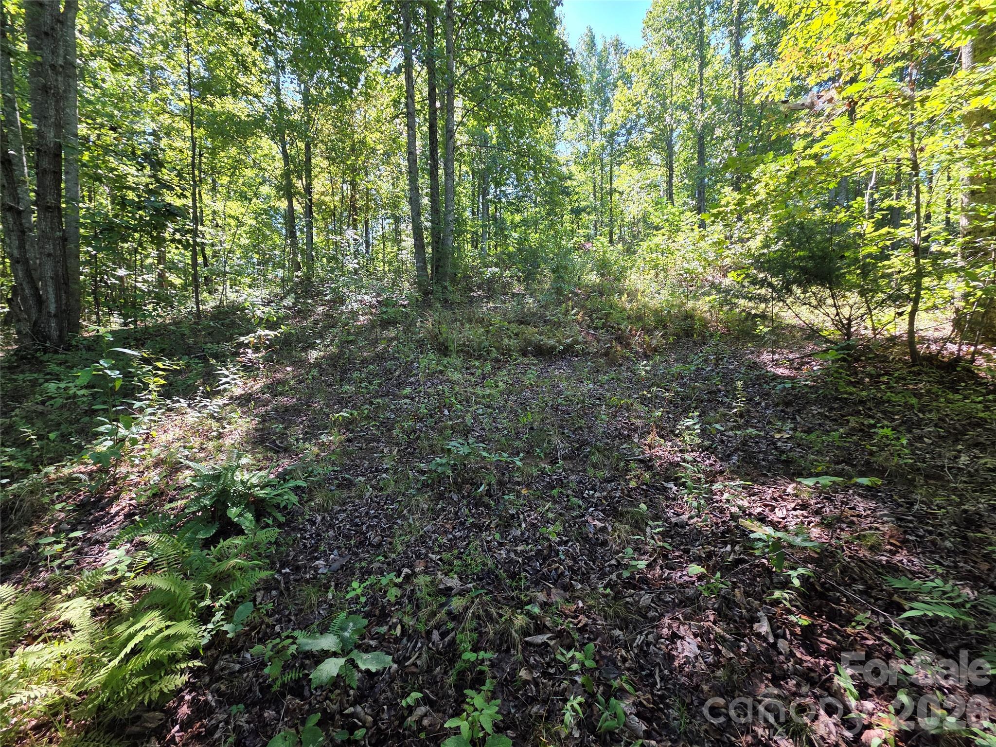 19 Meditation Ridge Drive Property Photo 18