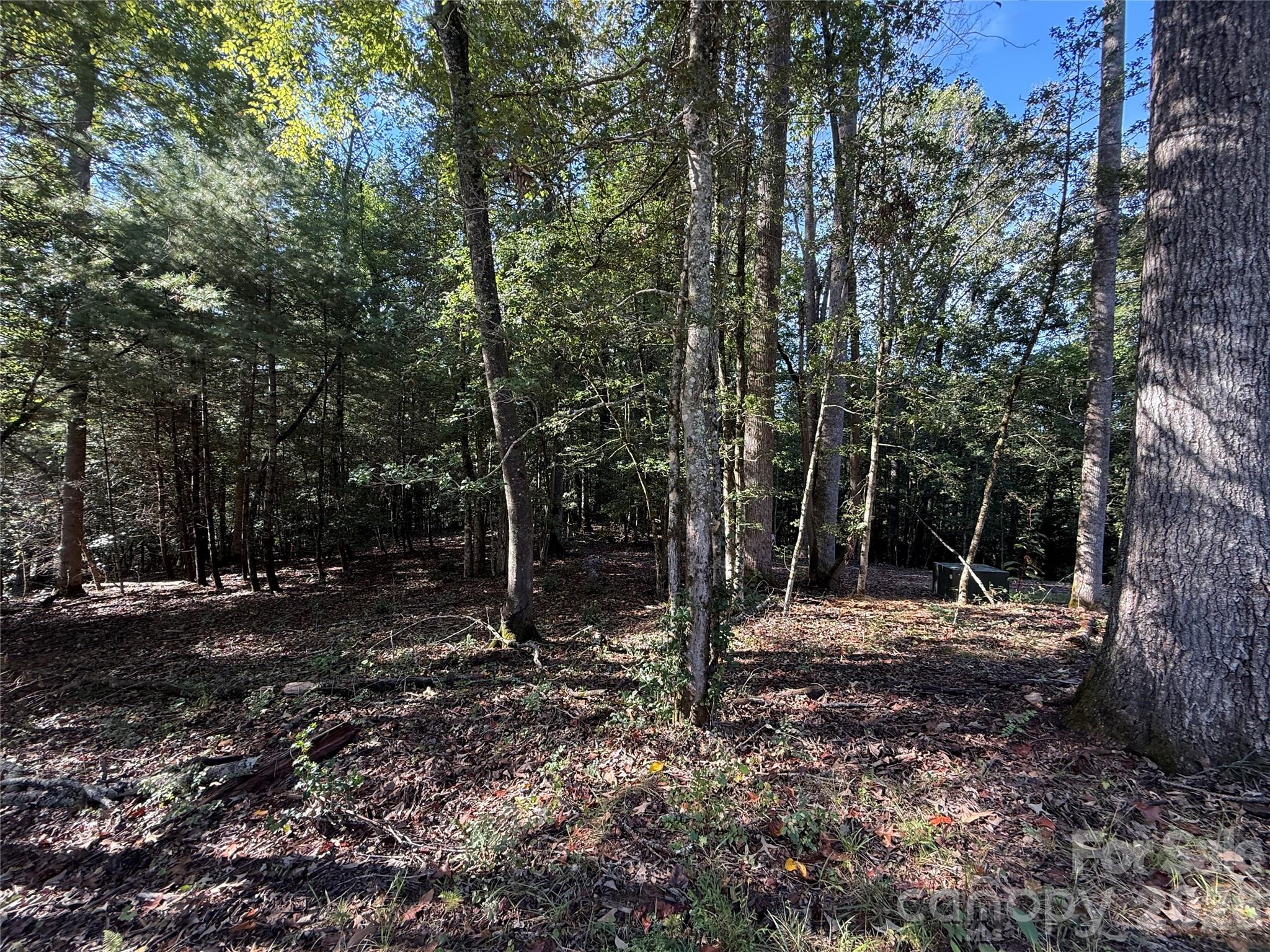 000 Reserve Way 10 Property Photo 12