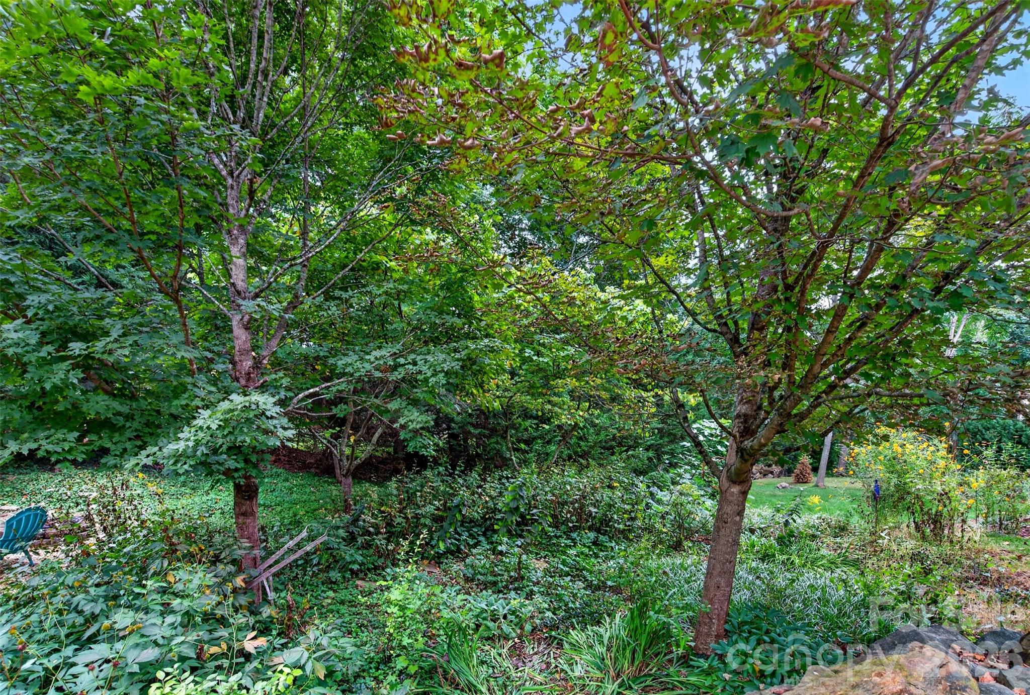 18 Sulphur Springs Road Property Photo 42