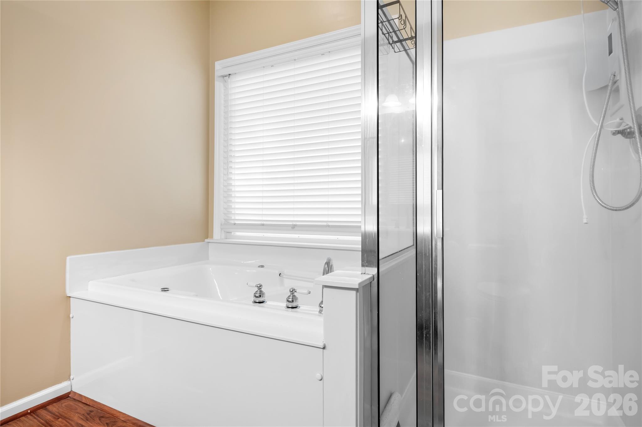 665 Millswood Drive Property Photo 19