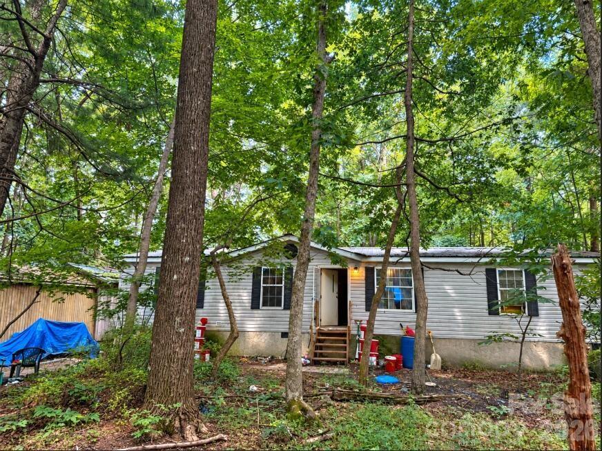 169 Bob Cat Spur Lane Property Photo 1