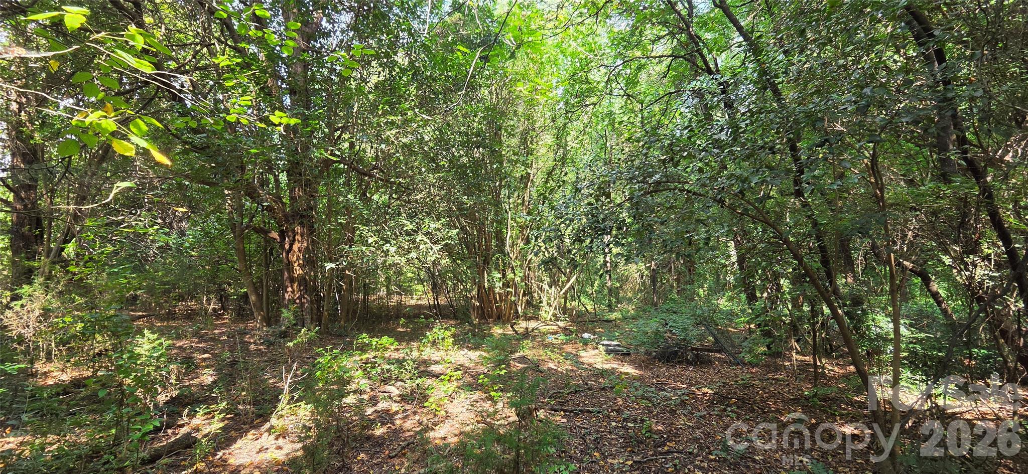 4230 Shopton Road Property Photo 3