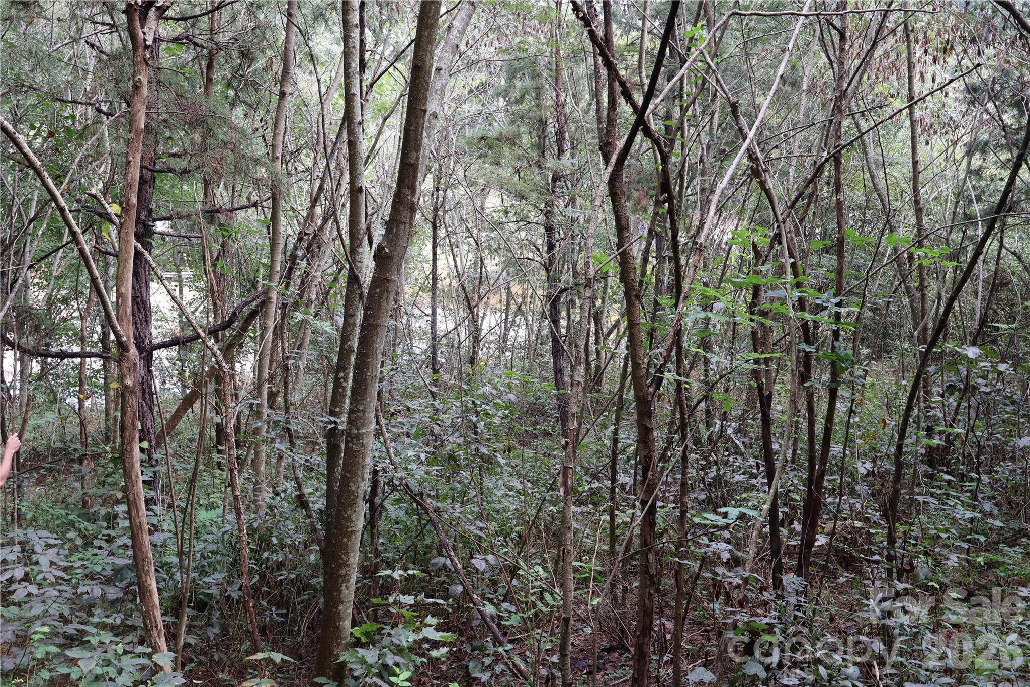 Tbd Franklin Lane 12+13 Property Photo 10