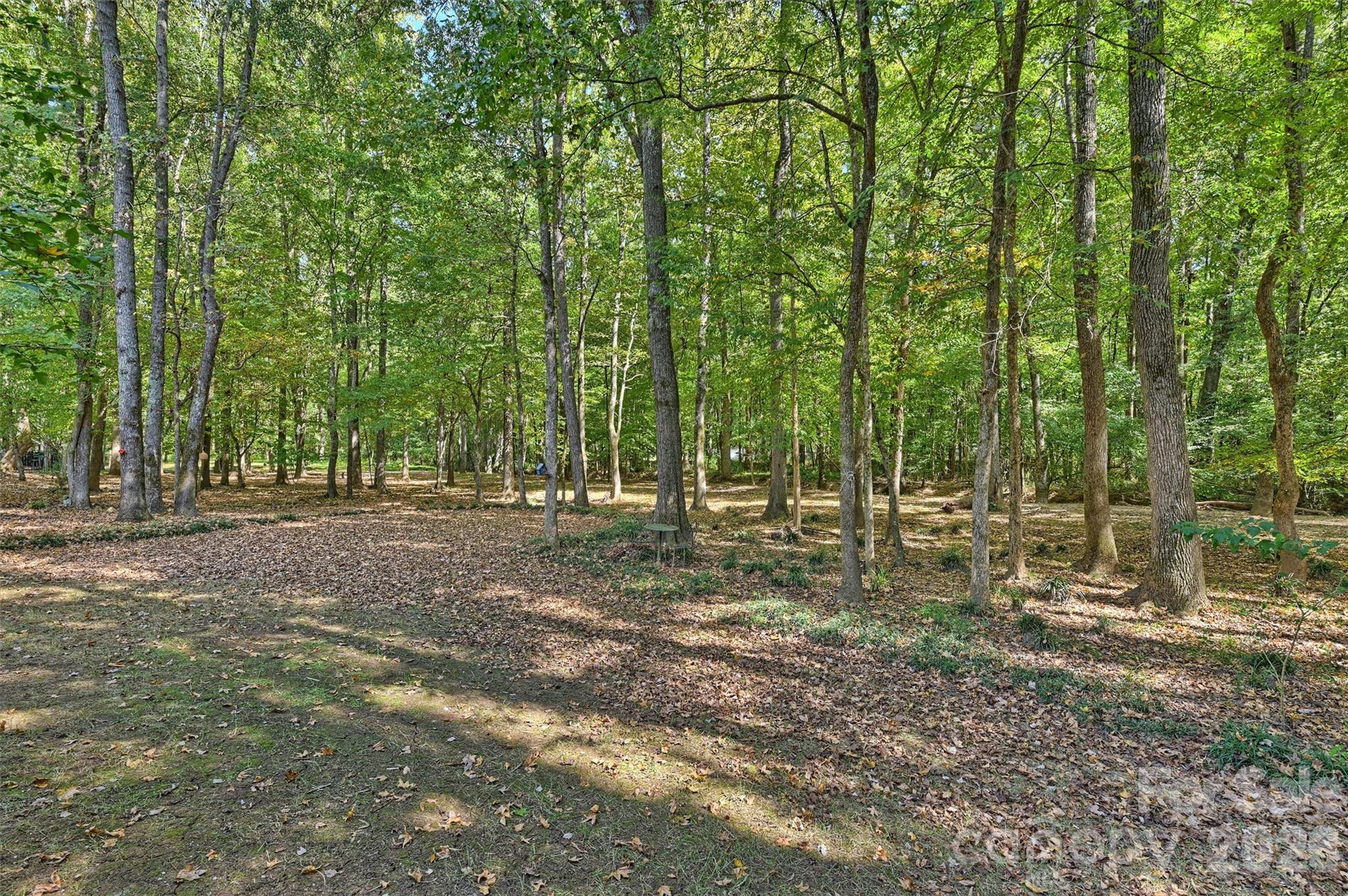 12727 Duncourtney Lane Property Photo 39