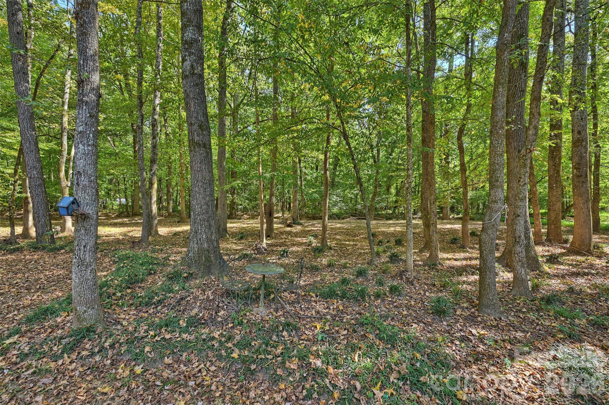 12727 Duncourtney Lane Property Photo 42