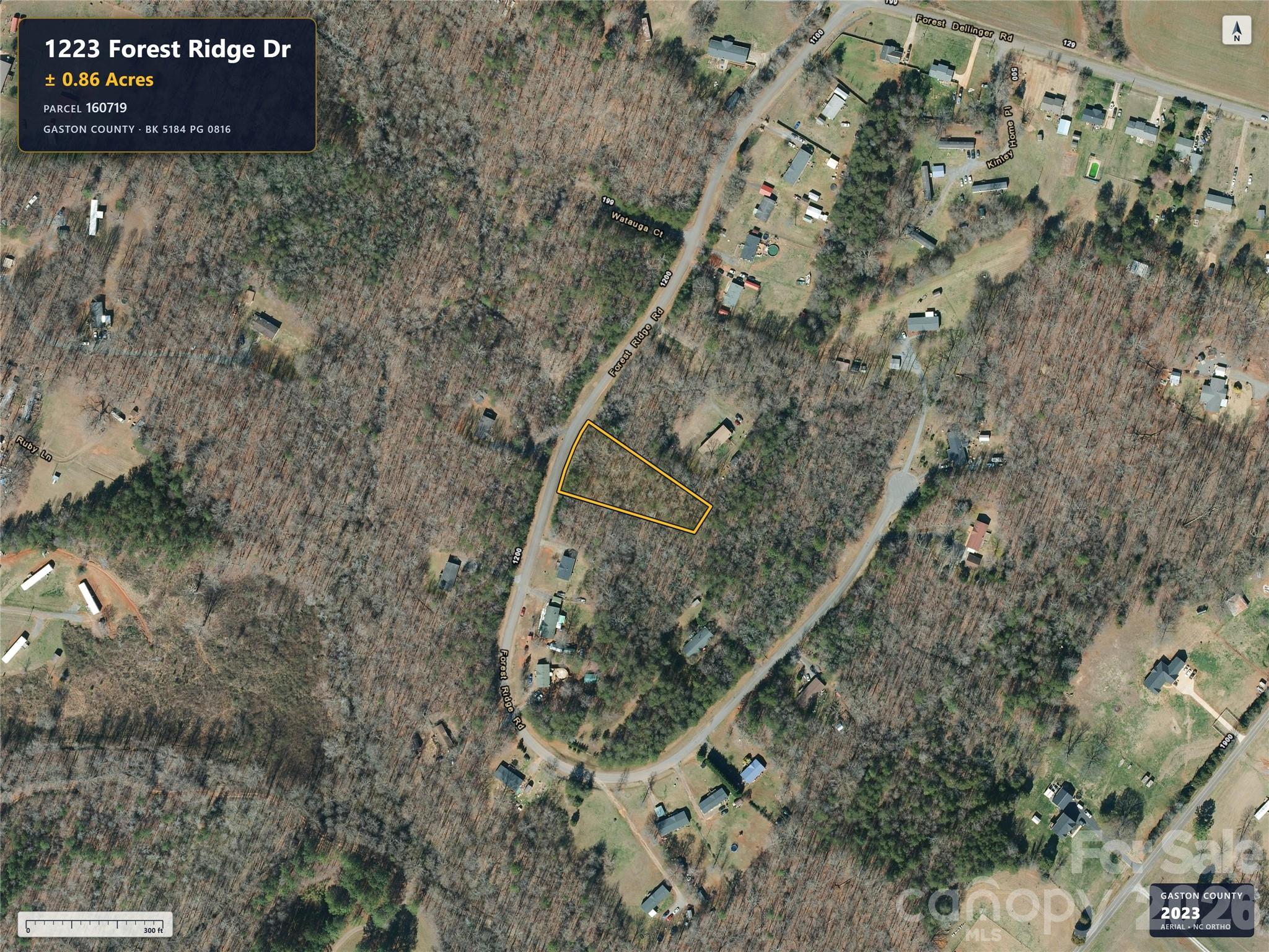 1223 Forest Ridge Drive Property Photo 3