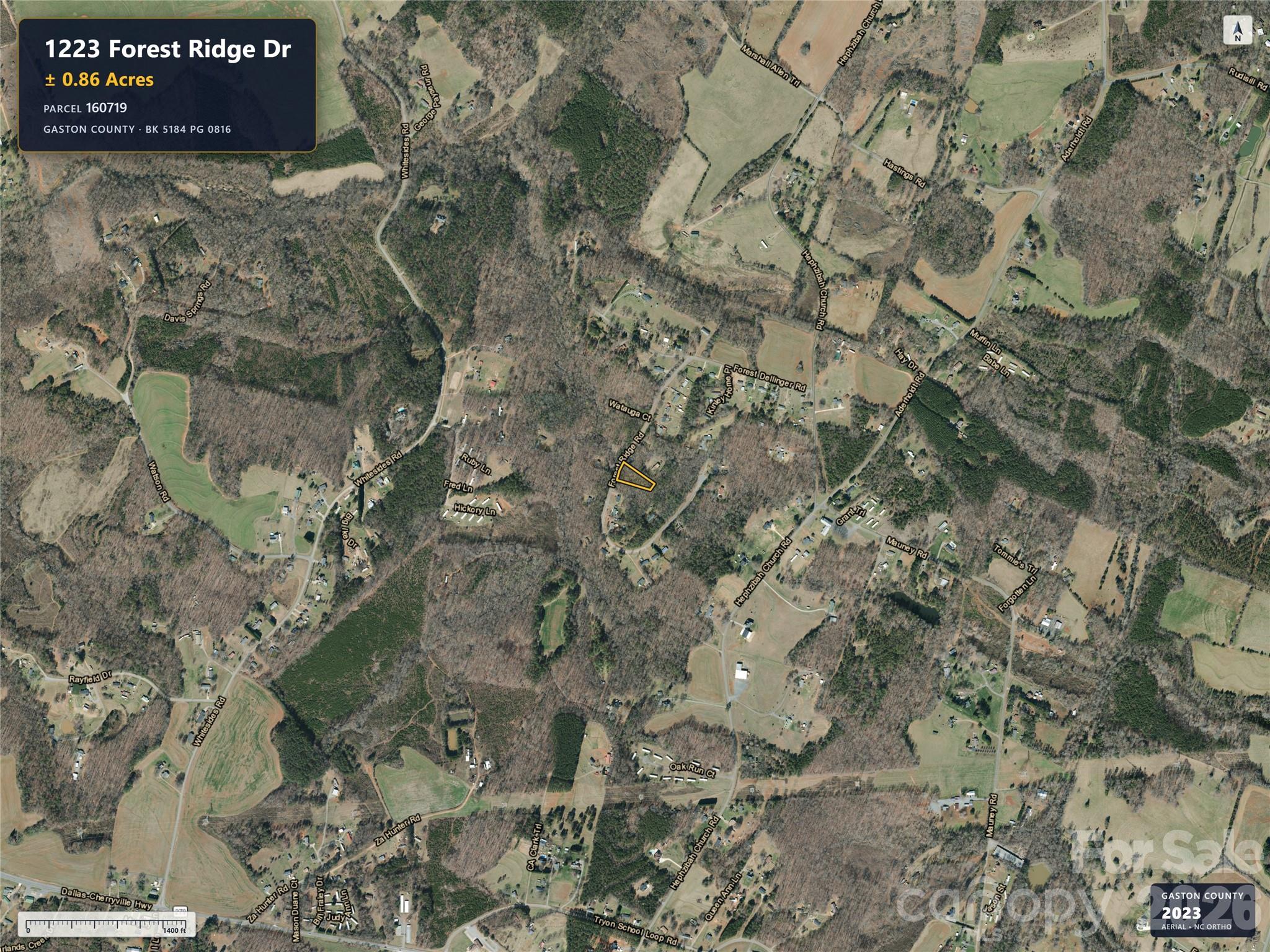 1223 Forest Ridge Drive Property Photo 4