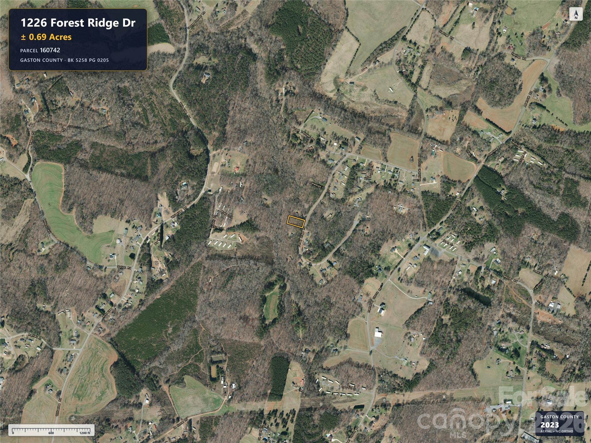 1226 Forest Ridge Drive Property Photo 4