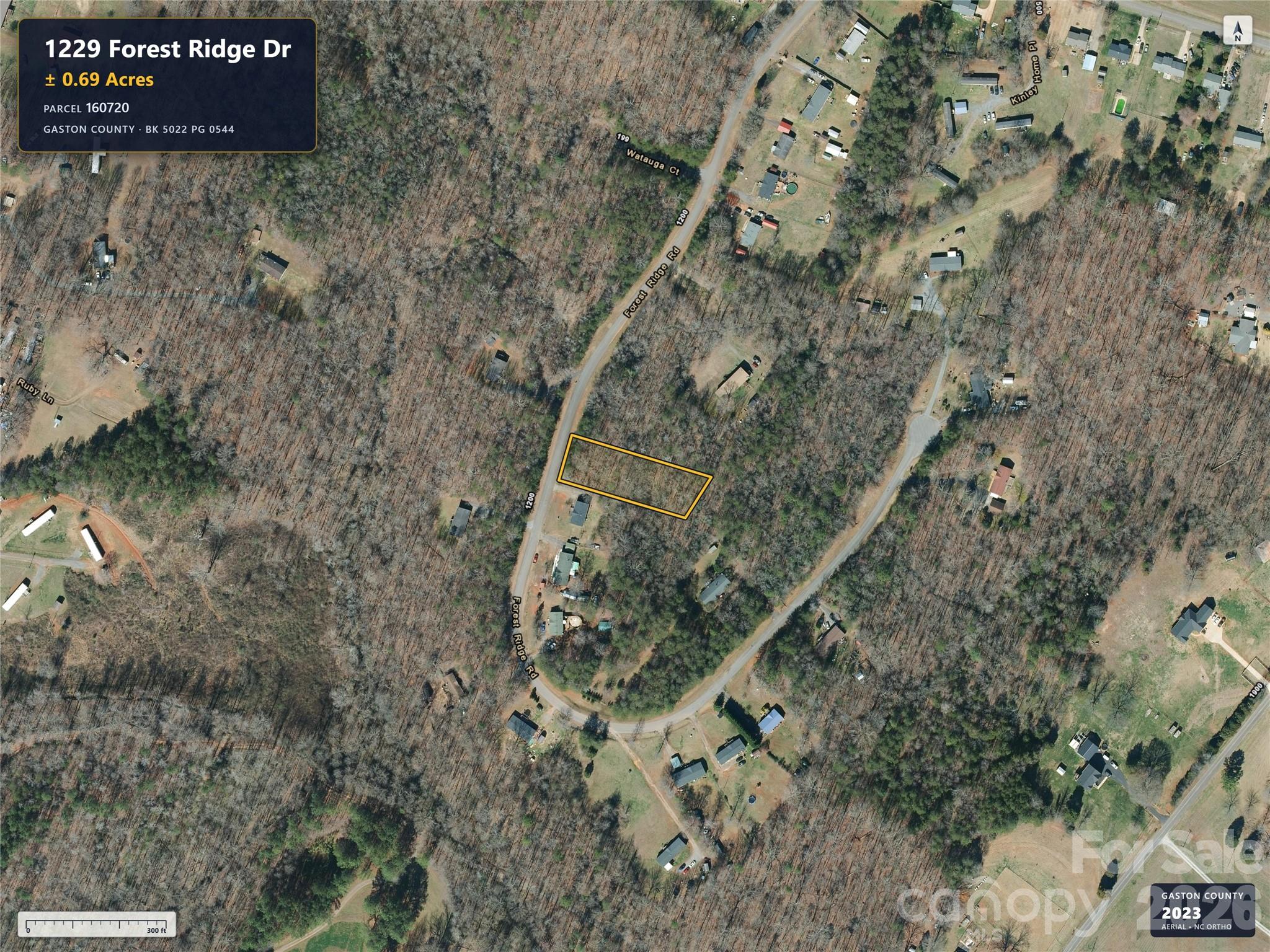 1229 Forest Ridge Drive Property Photo 3