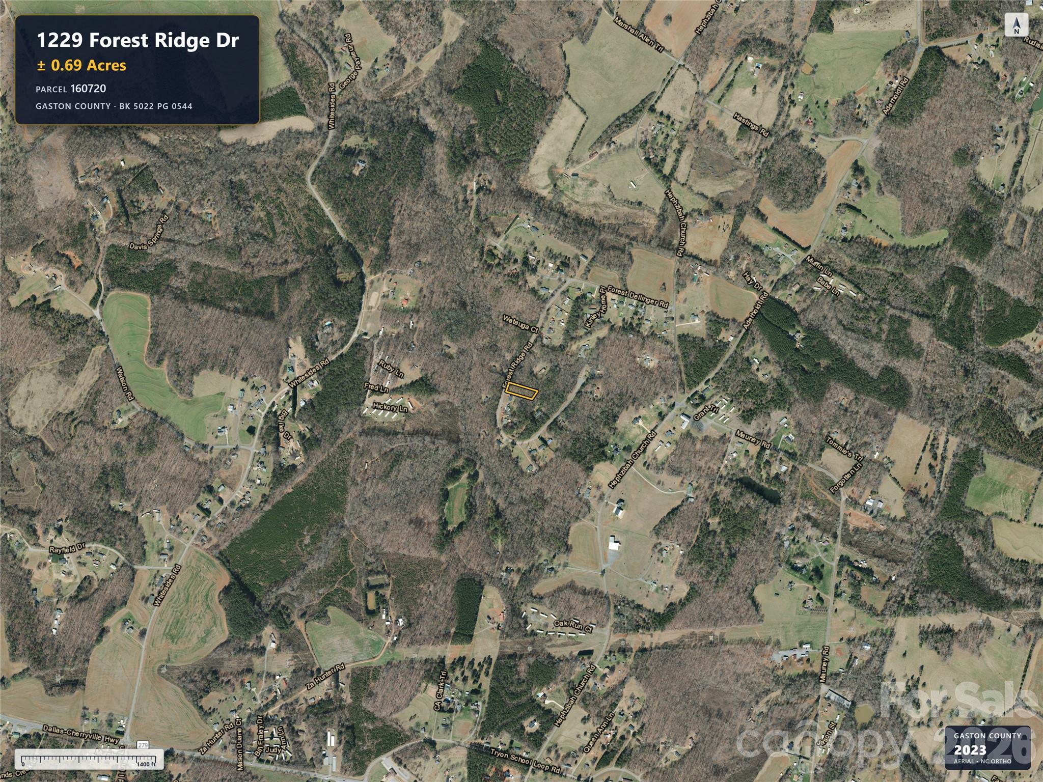 1229 Forest Ridge Drive Property Photo 4