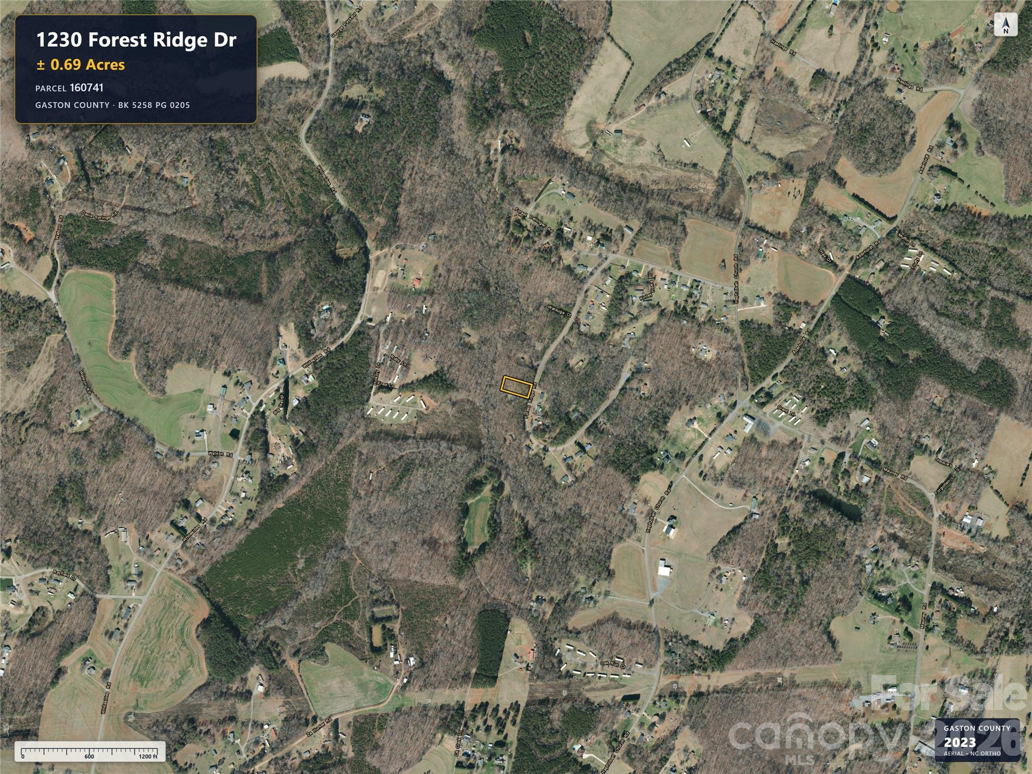 1230 Forest Ridge Drive Property Photo 4